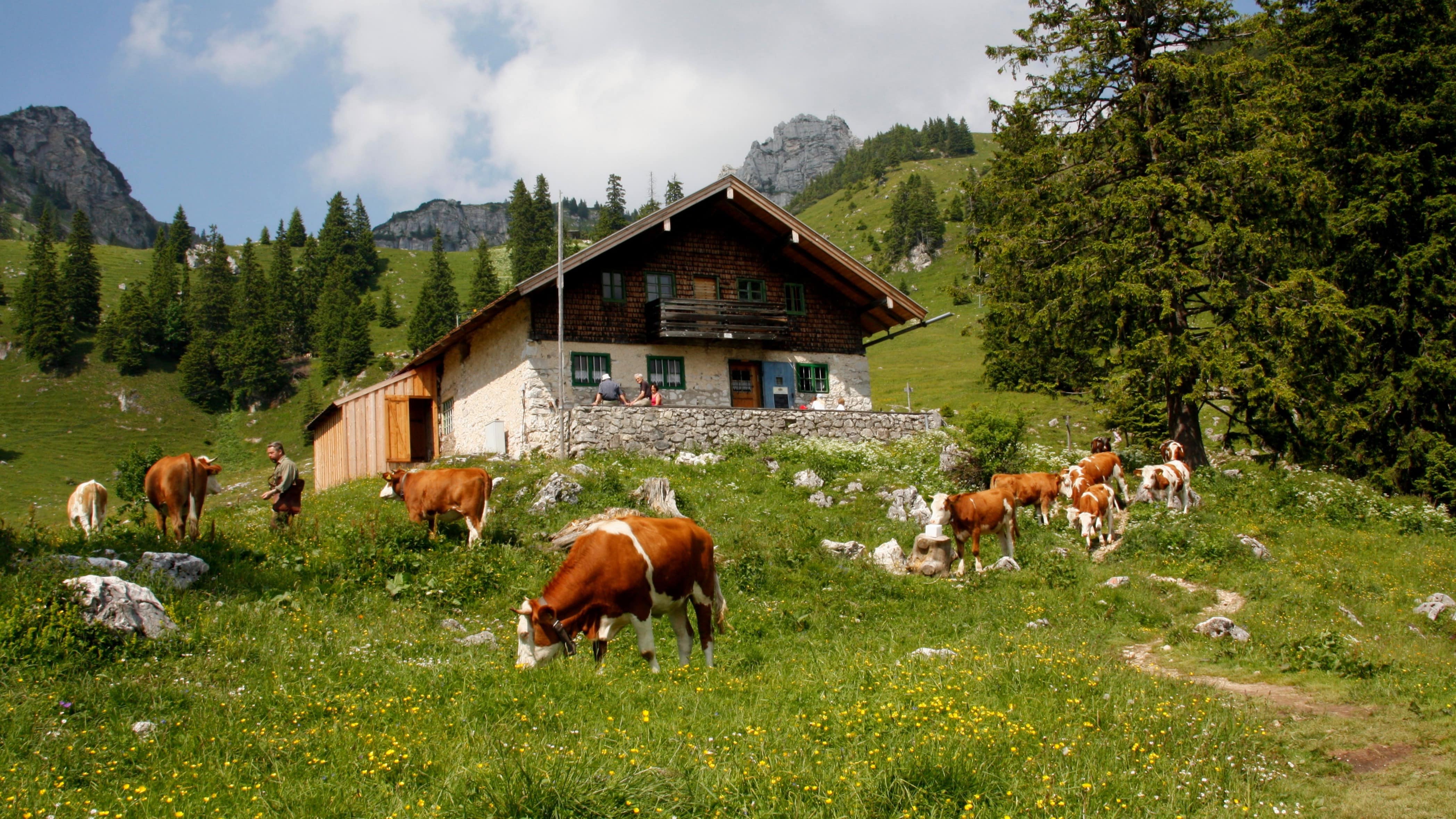 Wildromantisch – Urlaub auf dem Bauernhof in Bayern