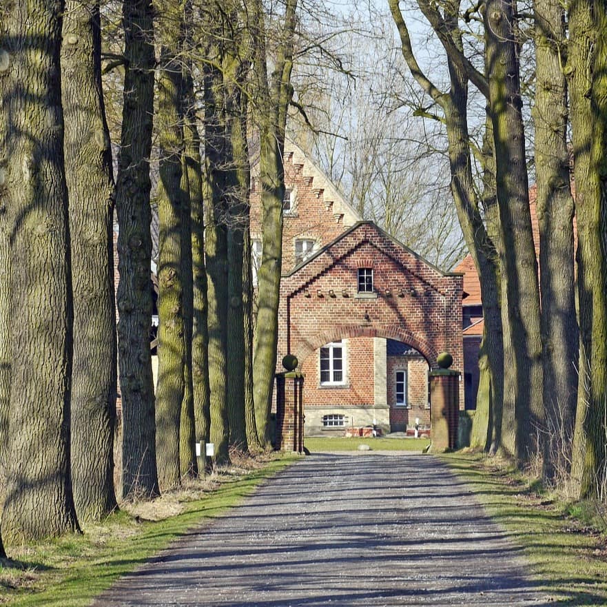 Eichenalleen sind im Münsterland und Ostwestfalen-Lippe wunderschöne Hofzufahrten.