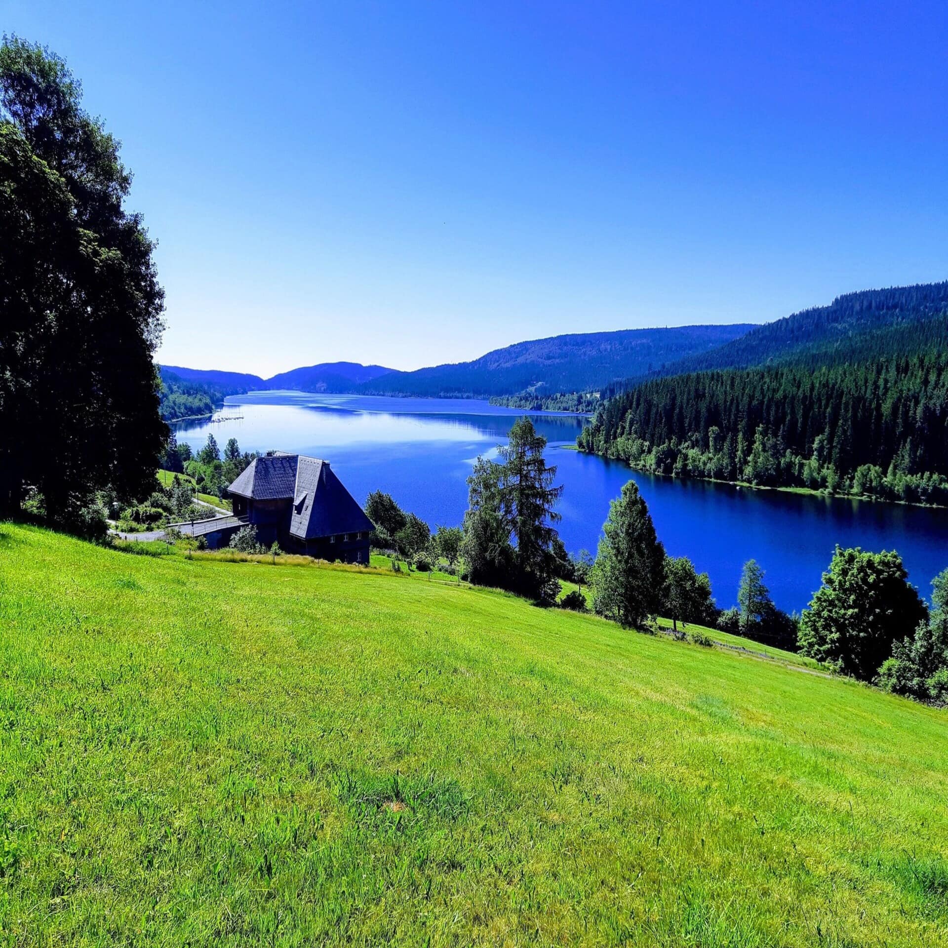 Haus auf einer Wiese am Hang direkt am Titisee.