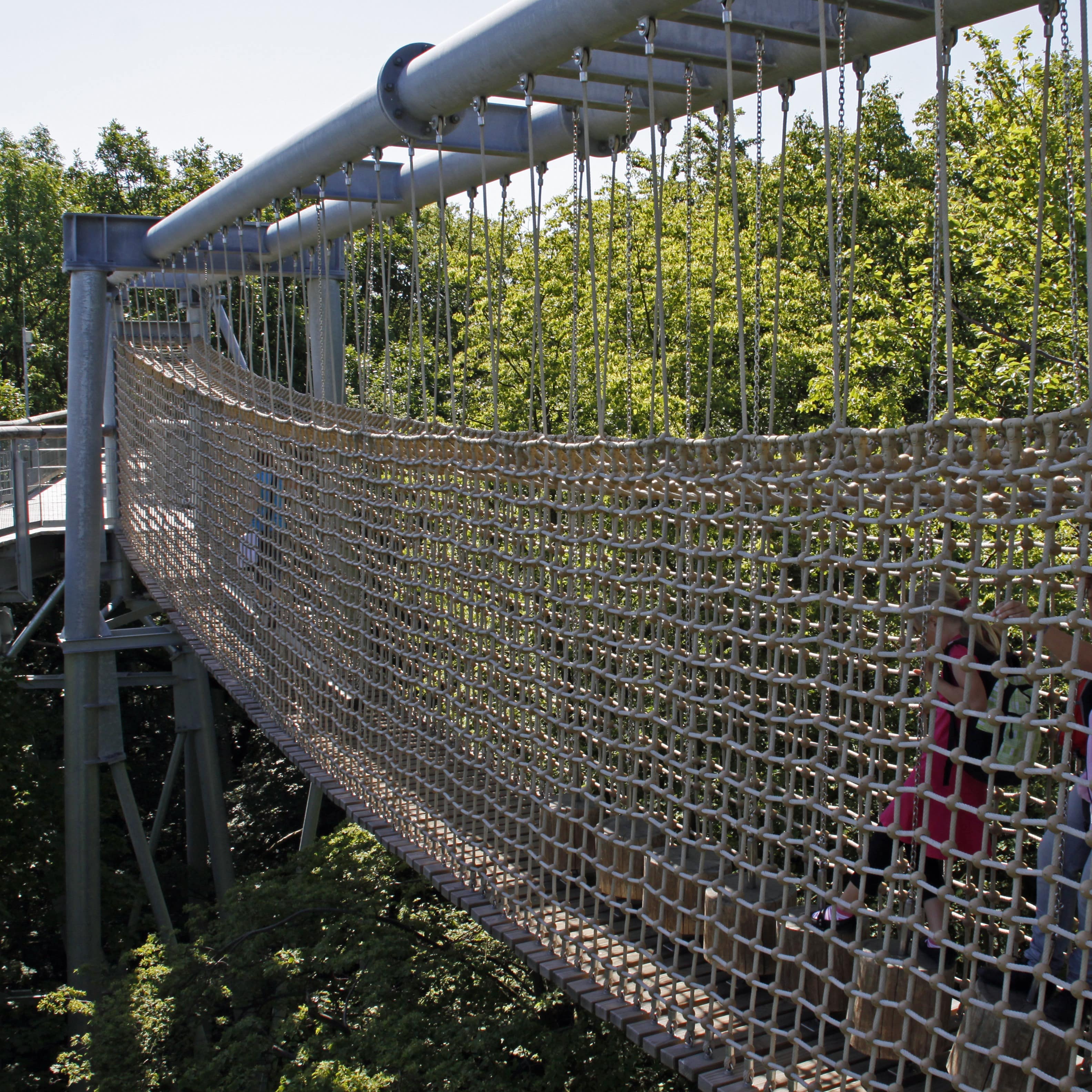 Kinder auf einer Seilbrücke im Baumkronenpfad