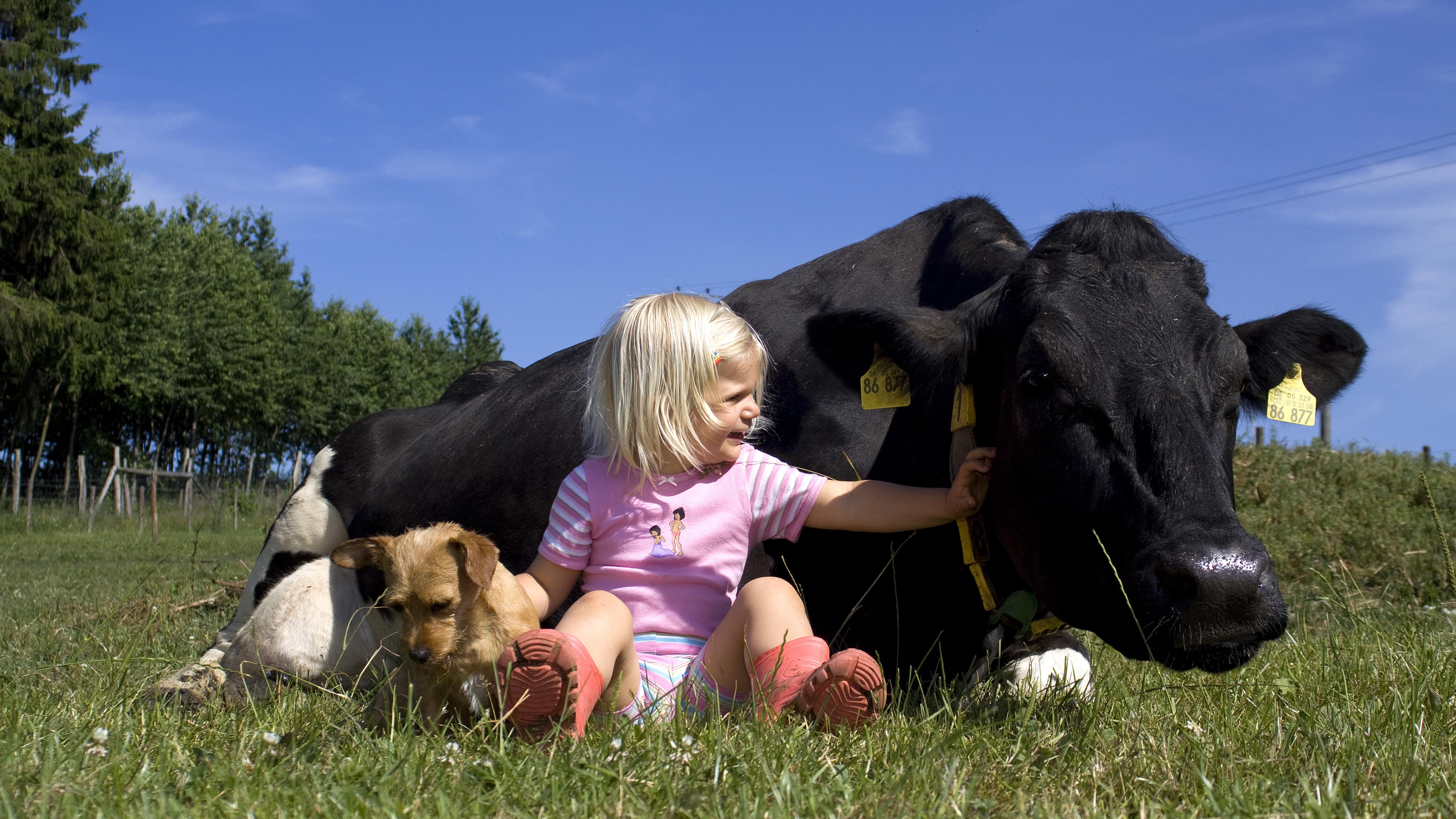 Ferien mit der ganzen Familie – so gelingt der Eifel-Urlaub mit Kindern