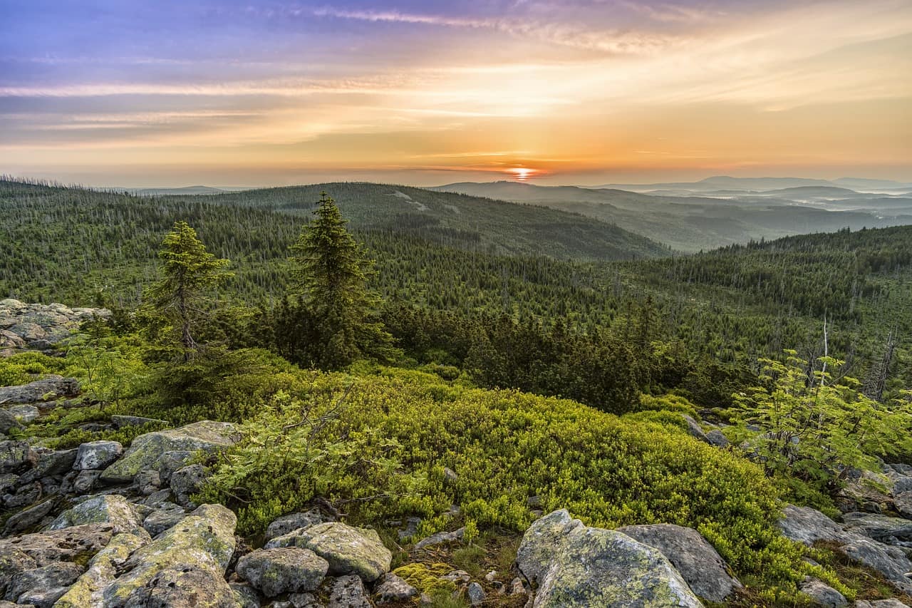 Bayerischer Wald Panorama