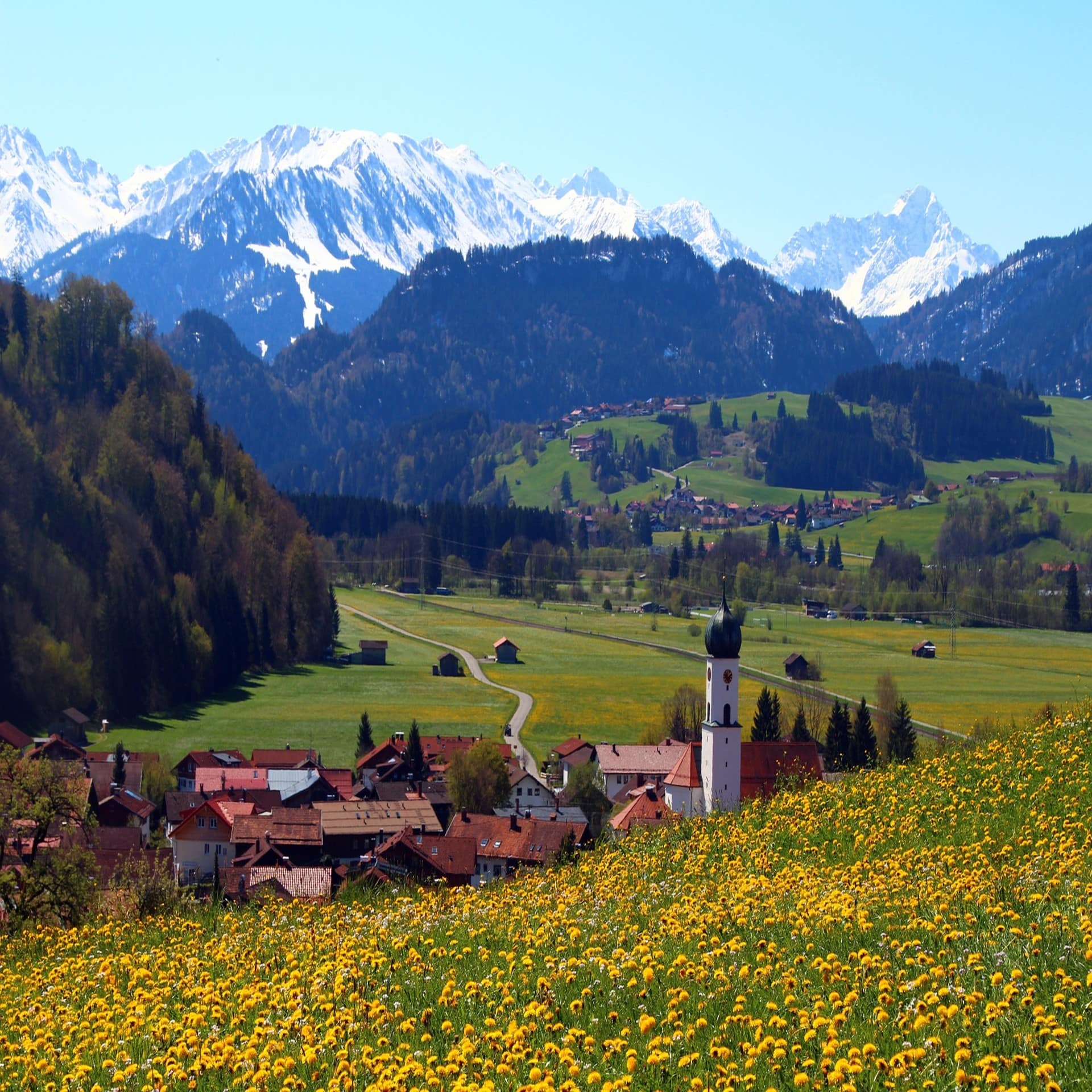 Panoramablick auf ein Dorf im Allgäu im Frühling. Eine blühende Wiese im Vordergrund, Berge im Hintergrund.