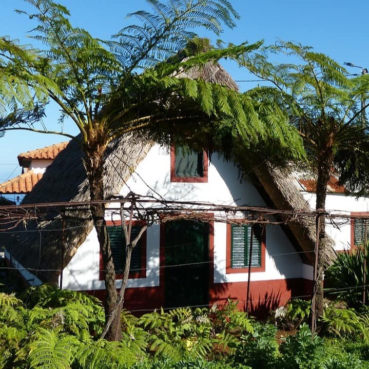 Die üppige Vegetation und die kleinen reetgedeckten Bauernhäuser sind typisch für Madeira.