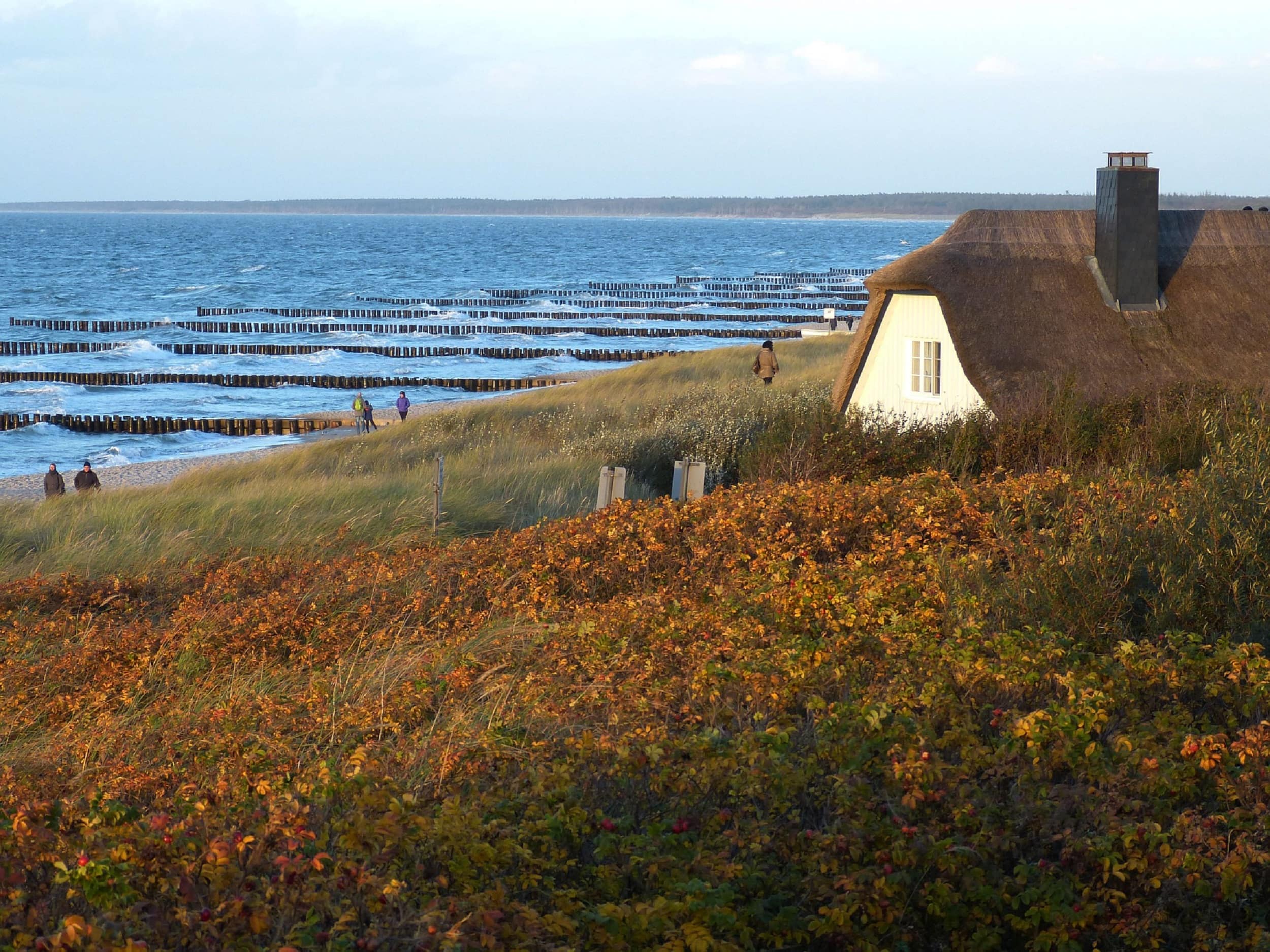 Ferienwohnung auf Fischland-Darß-Zingst – eleganter Badeort