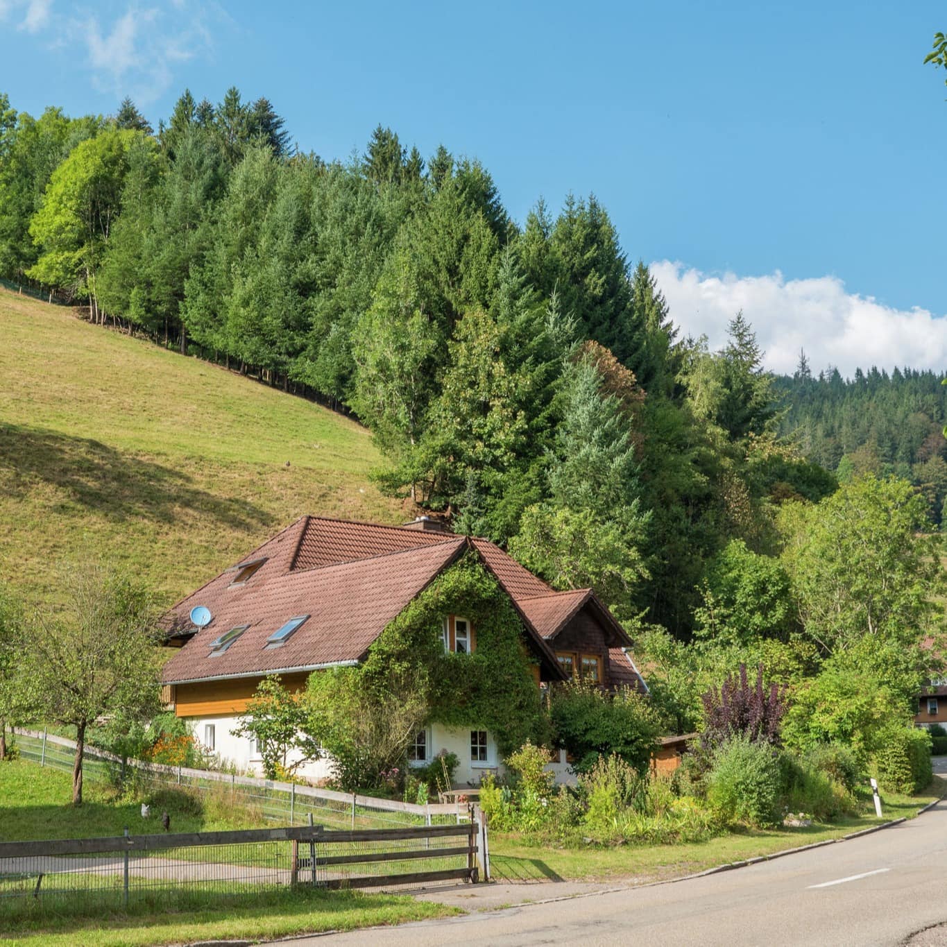 Ein Bauernhaus mit Ferienwohnung am Schluchsee