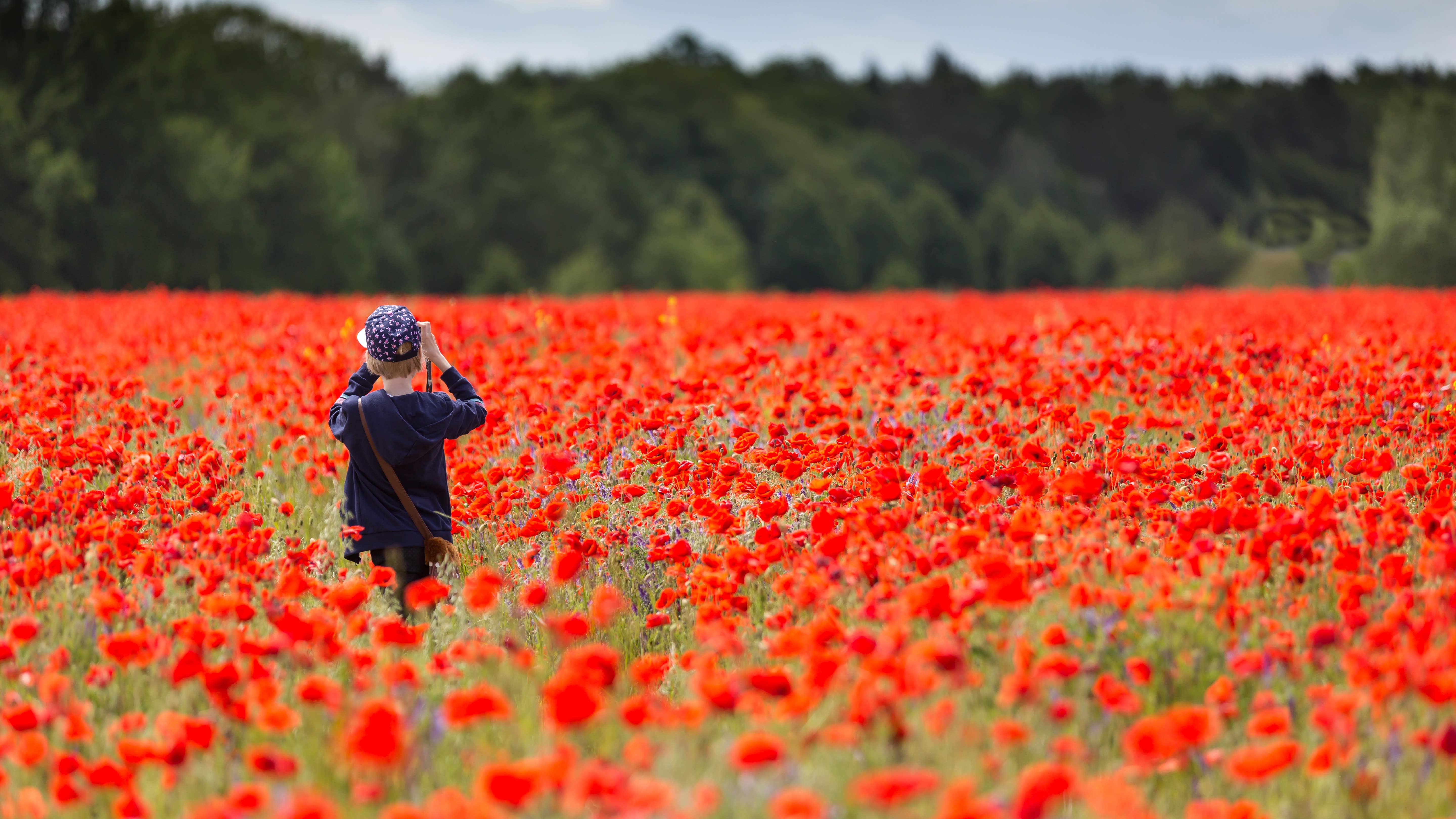 20 tolle Tipps für Ausflüge mit Ihren Kindern in Brandenburg