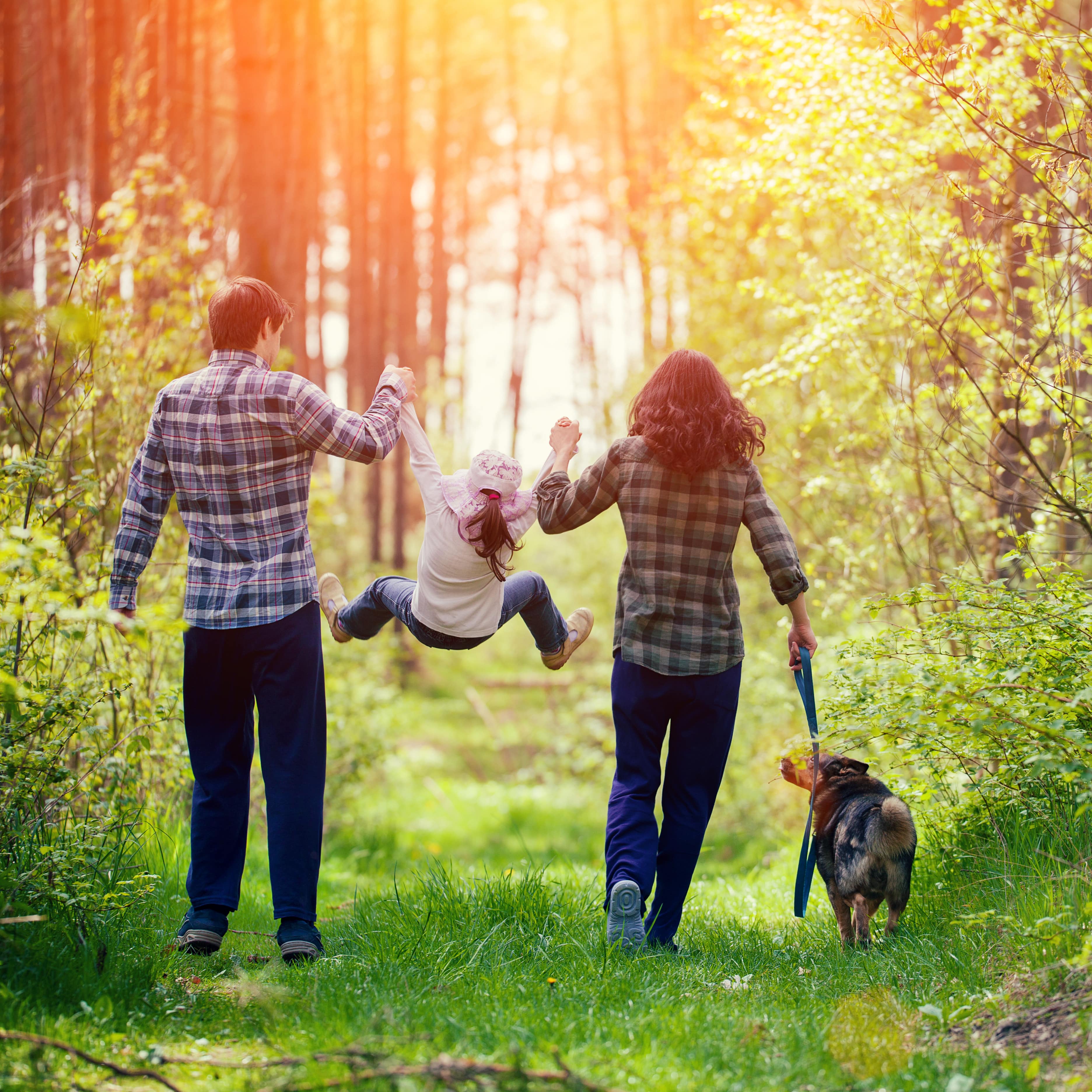 Im Wald: Eltern schwingen ein Mädchen in ihrer Mitte an den Armen, die Mutter führt einen Hund an der Leine.