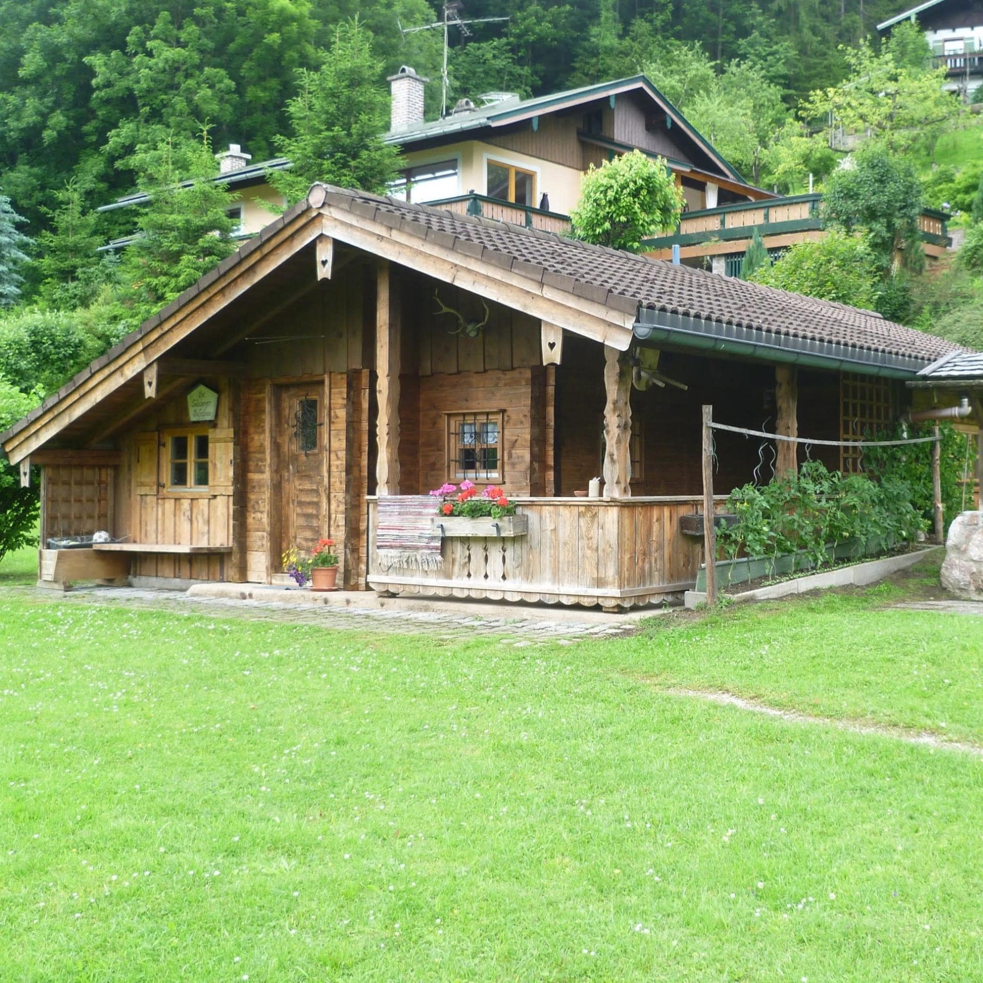 Blick auf ein kleines Holzhaus auf einer hügeligen grünen Wiese mit Bäumen im Hintergrund