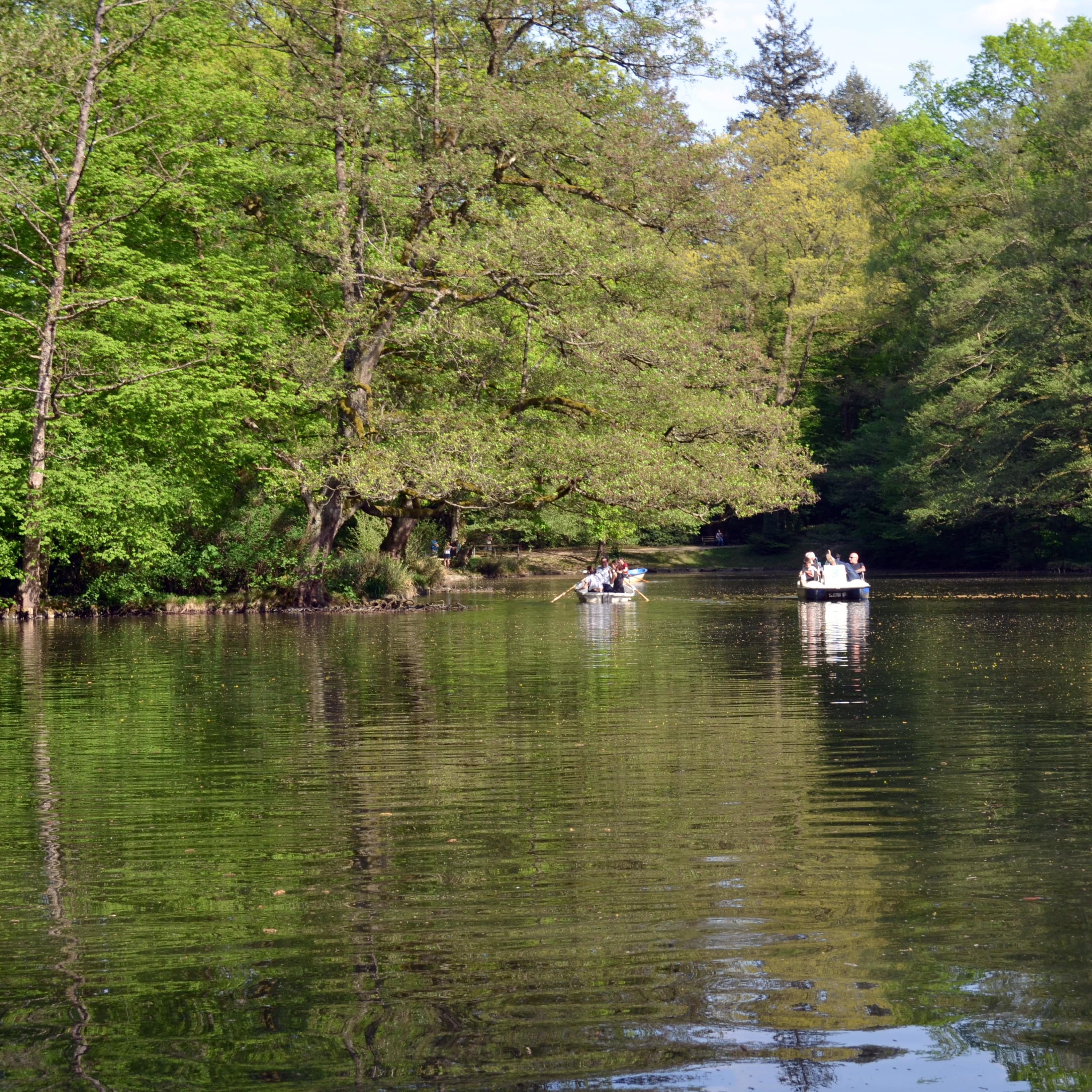 Personen in Tret- und Ruderboot auf dem Waldsee.