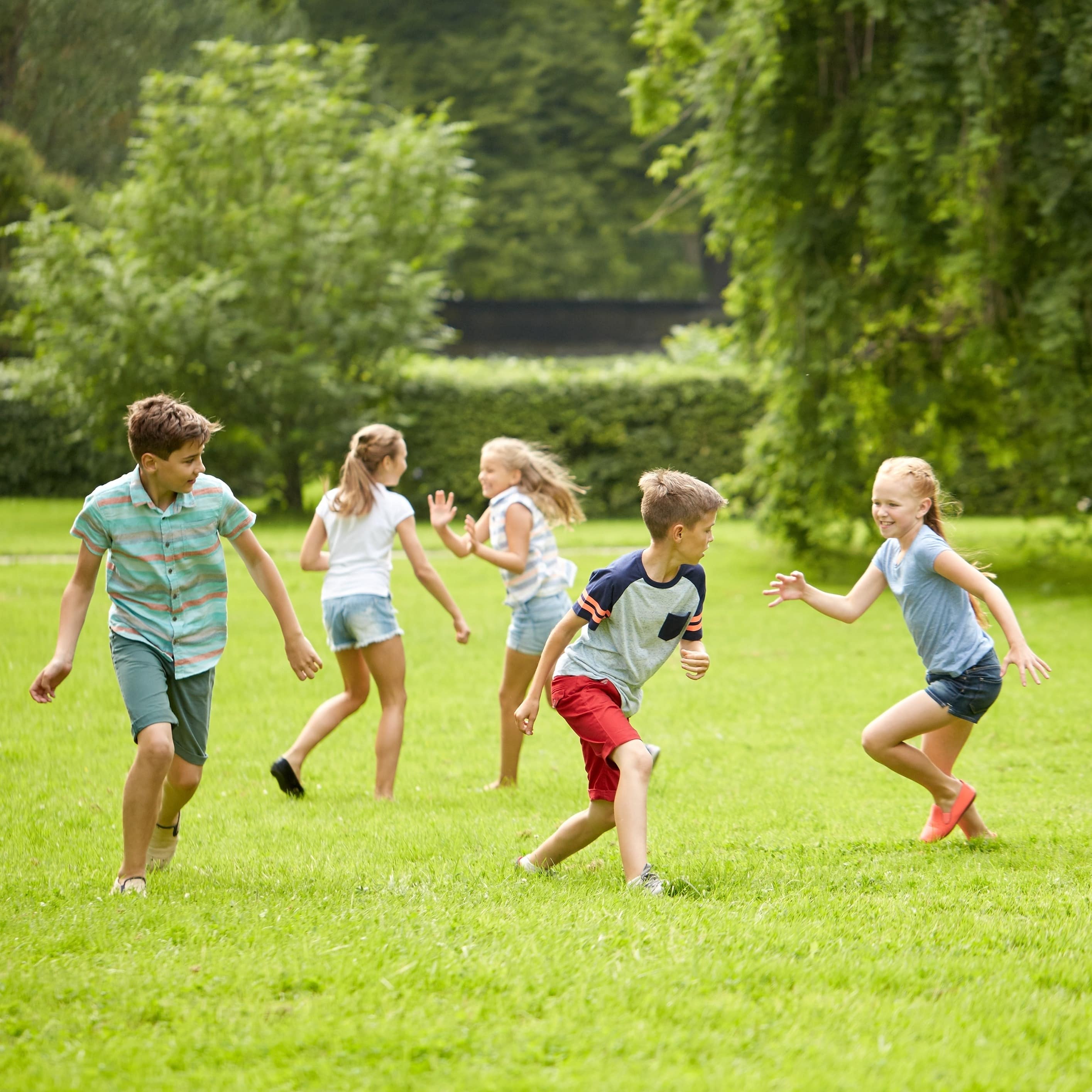 5 Kinder spielen auf einer Wiese, im Hintergrund eine Hecke und ein Fluss.