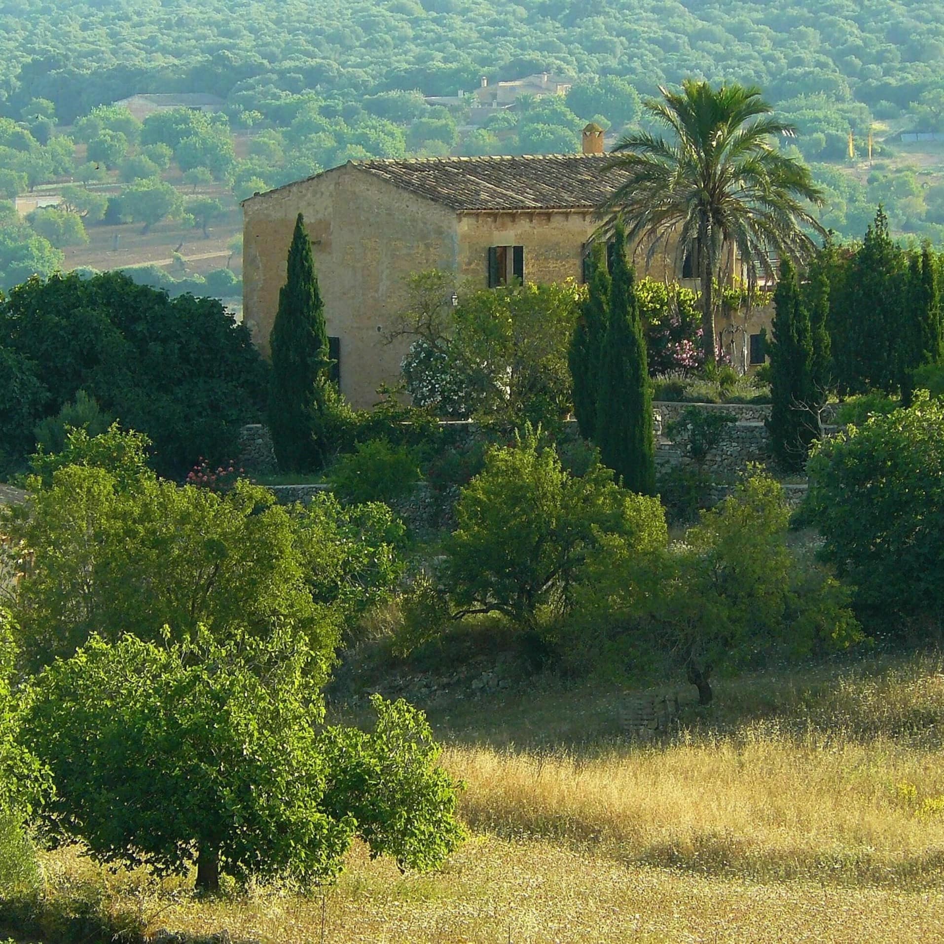 Eine Landvilla auf Mallorca umgeben von Bäumen und Büschen