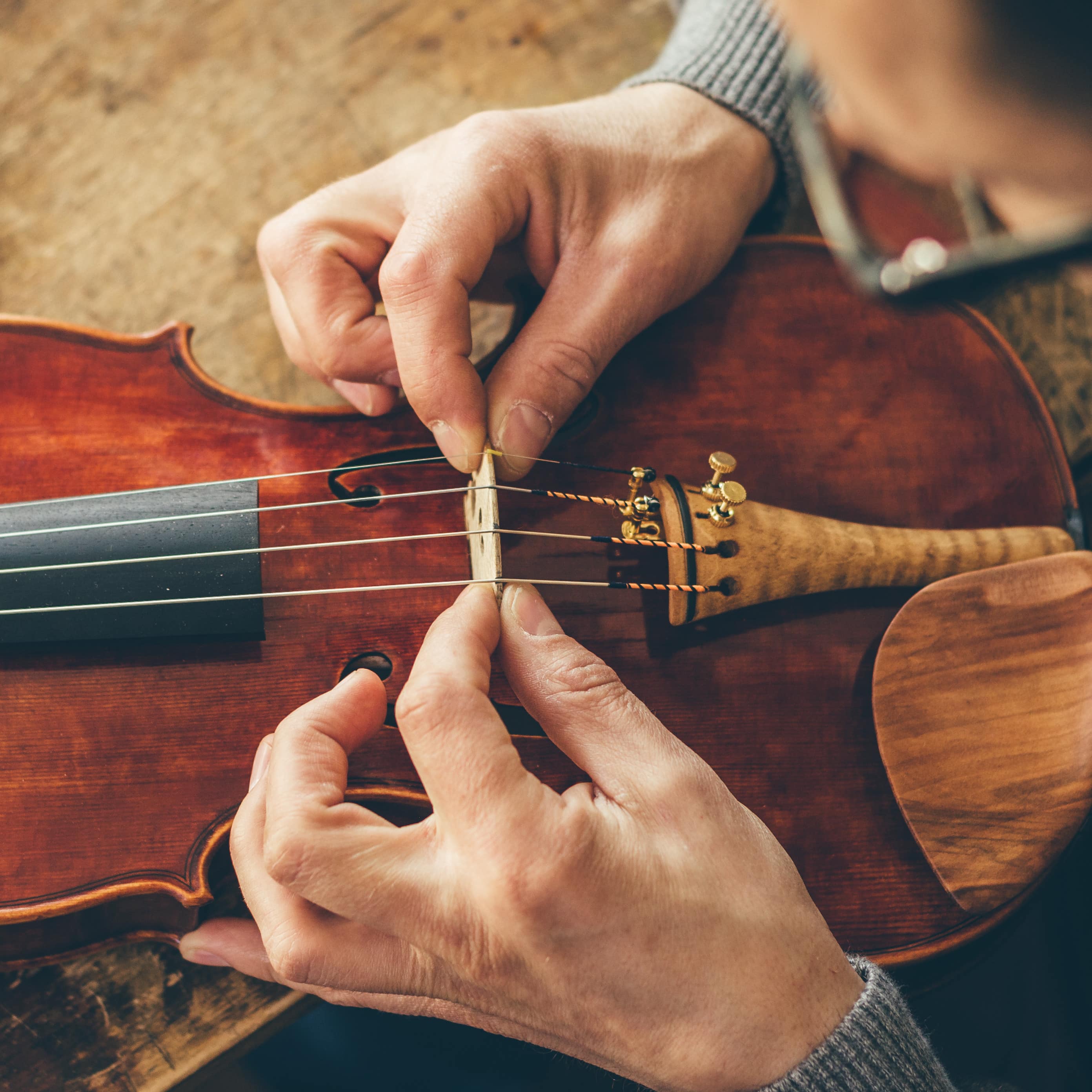 Nahaufnahme: Hände eines Mannes beim Bau einer Geige.