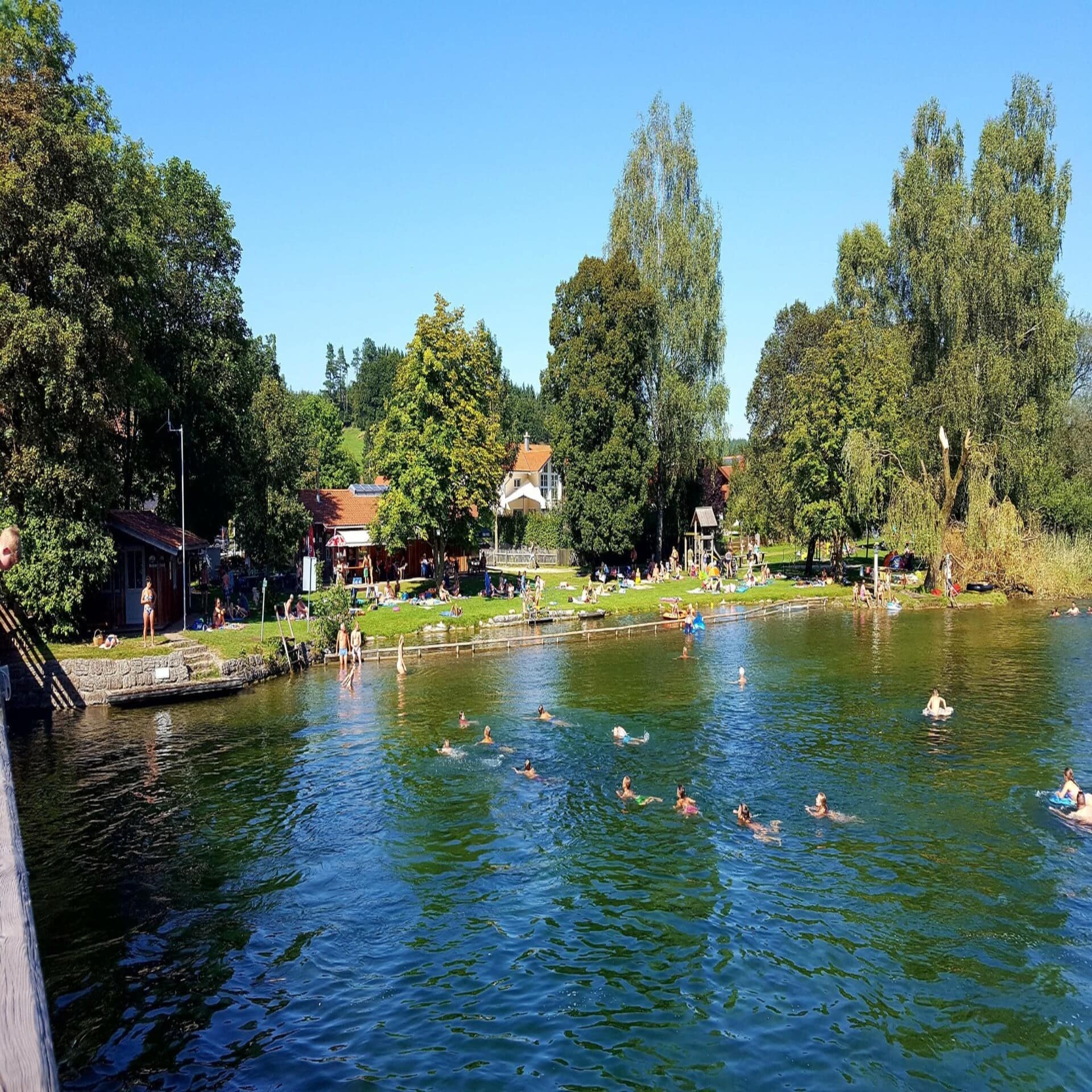 Leute schwimmen in einem See, davor eine Liegewiese und Bäume, im Hintergrund einige Häuser.