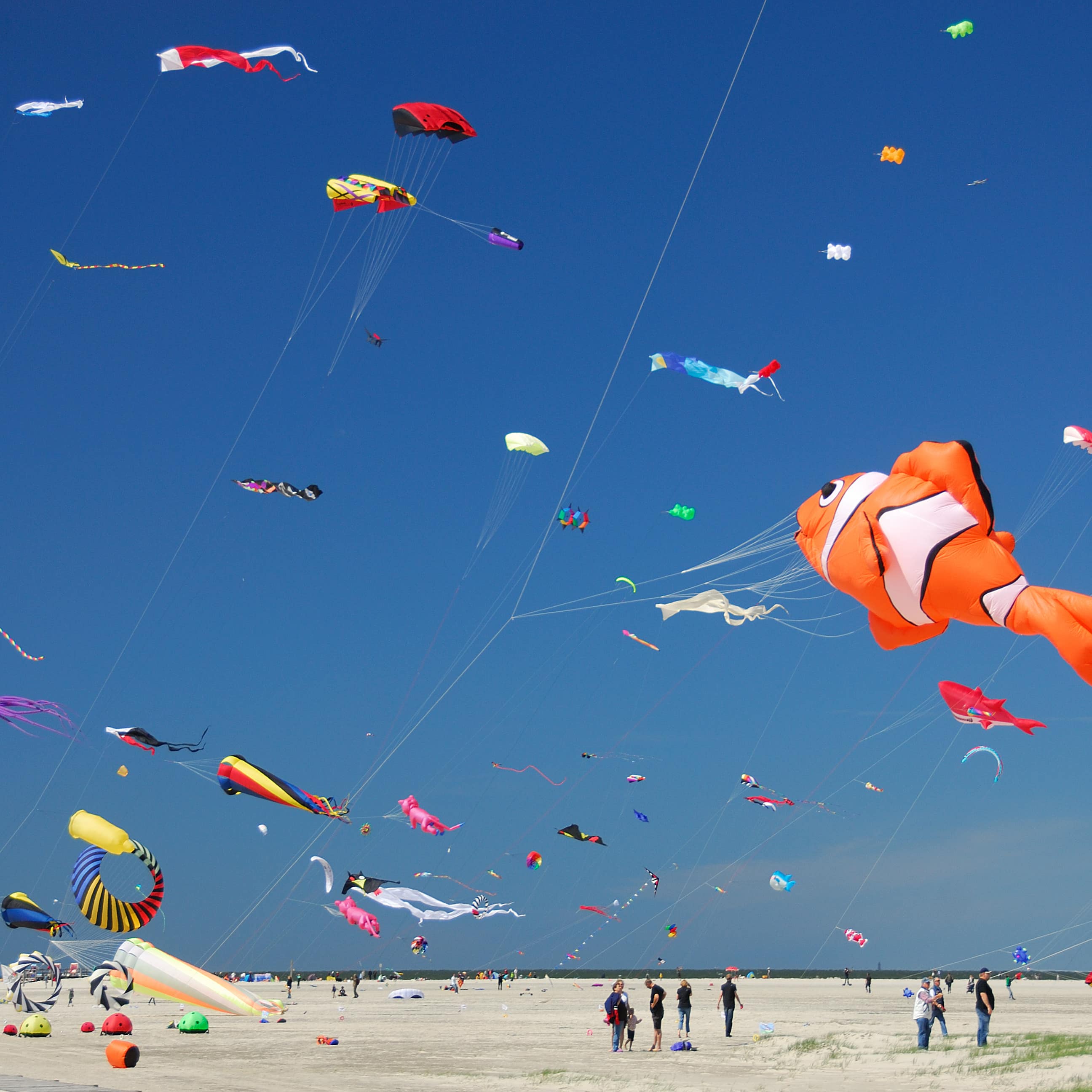 Leute lassen viele bunte Drachen am Strand steigen.