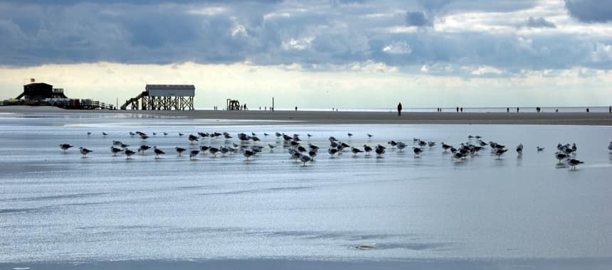 deutschland - Urlaub in St. Peter Ording 5