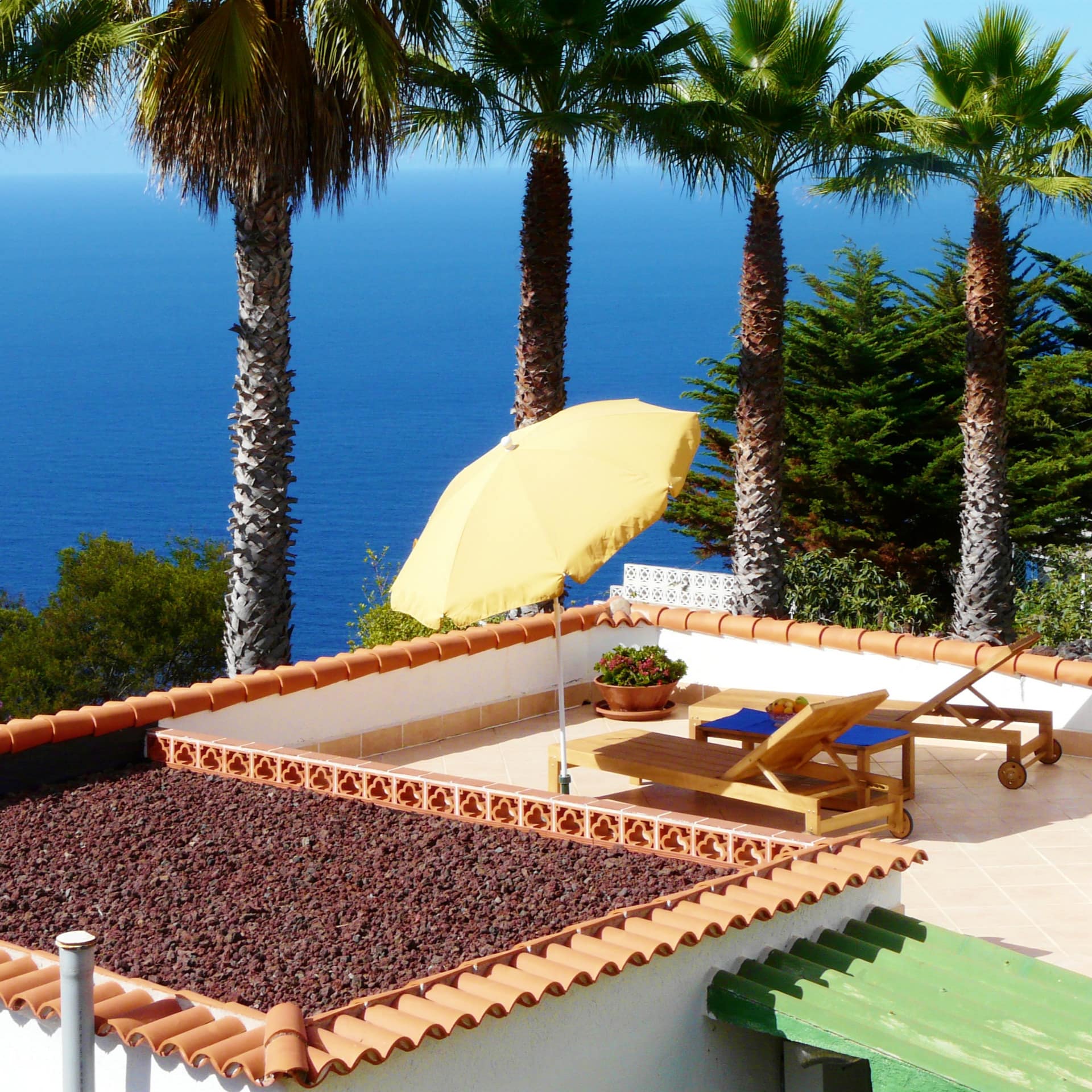 Ferienwohnung auf Teneriffa mit Dachterrasse mit Liegen unter Palmen und Blick übers Meer