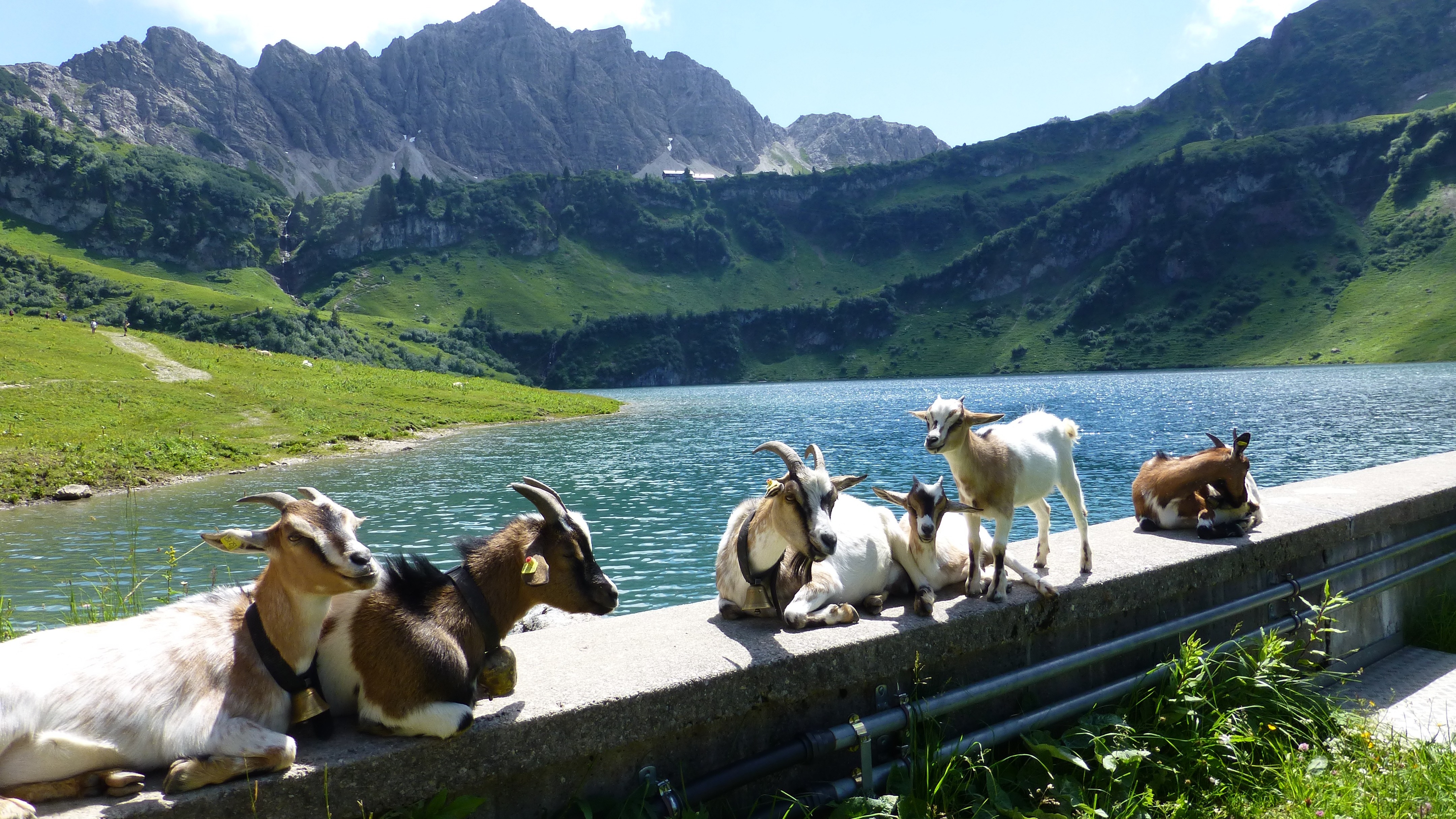 Kinder willkommen – Familienurlaub in Tirol oder Südtriol