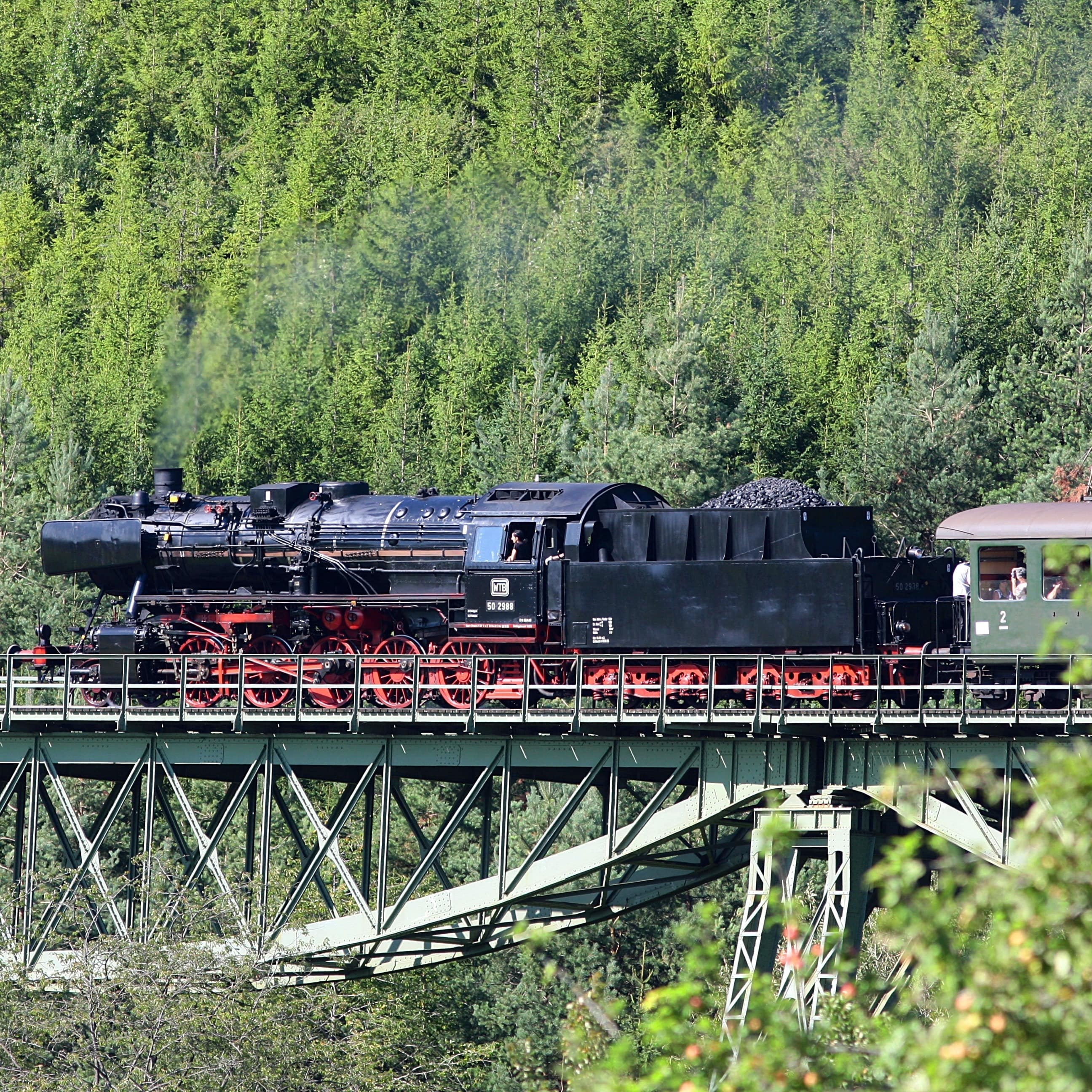 Lok und 1 Wagon der Sauschwänzlebahn fahren über eine Brücke. Im Wagon sind Personen zu sehen.