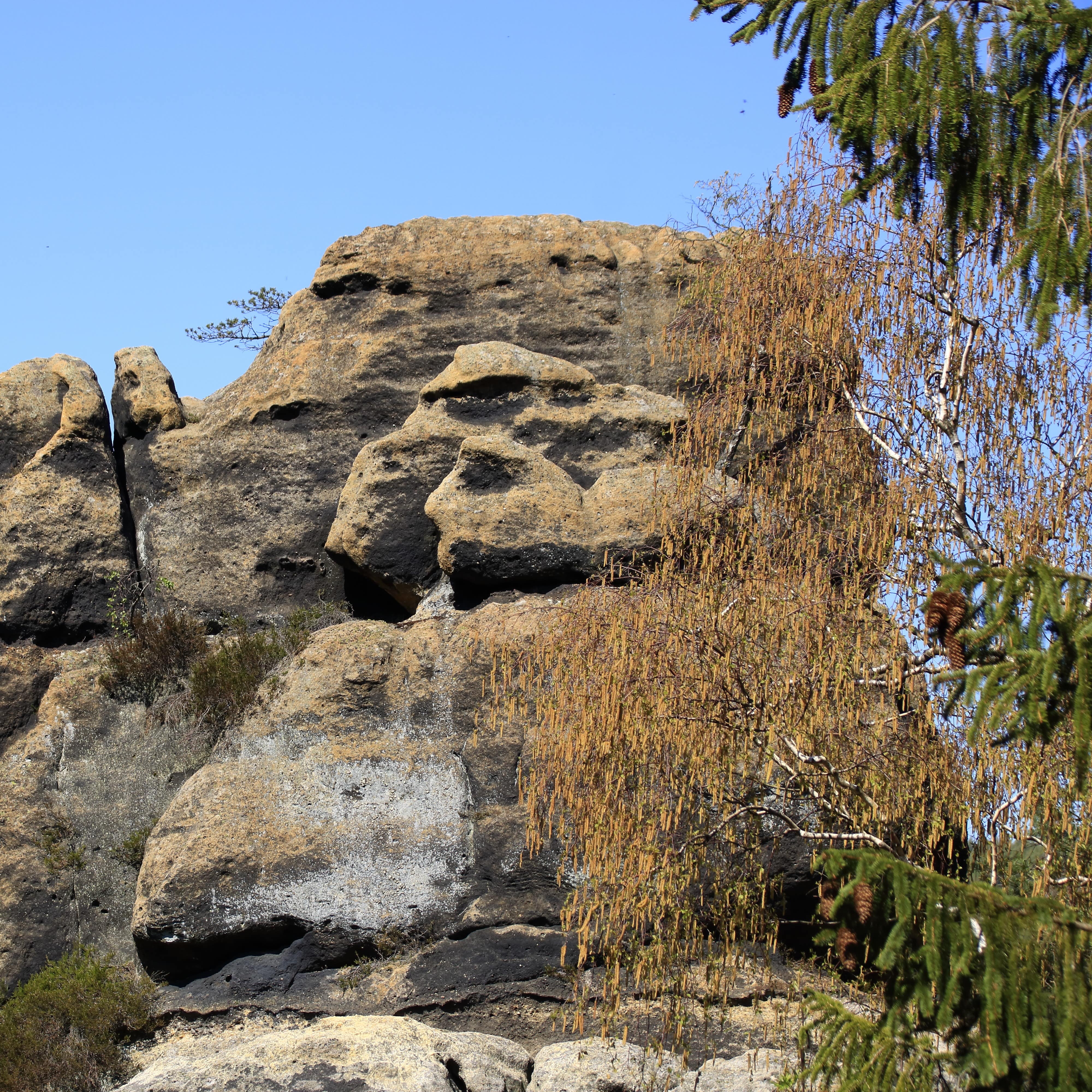 Der „Dackel“ bei Jonsdorf