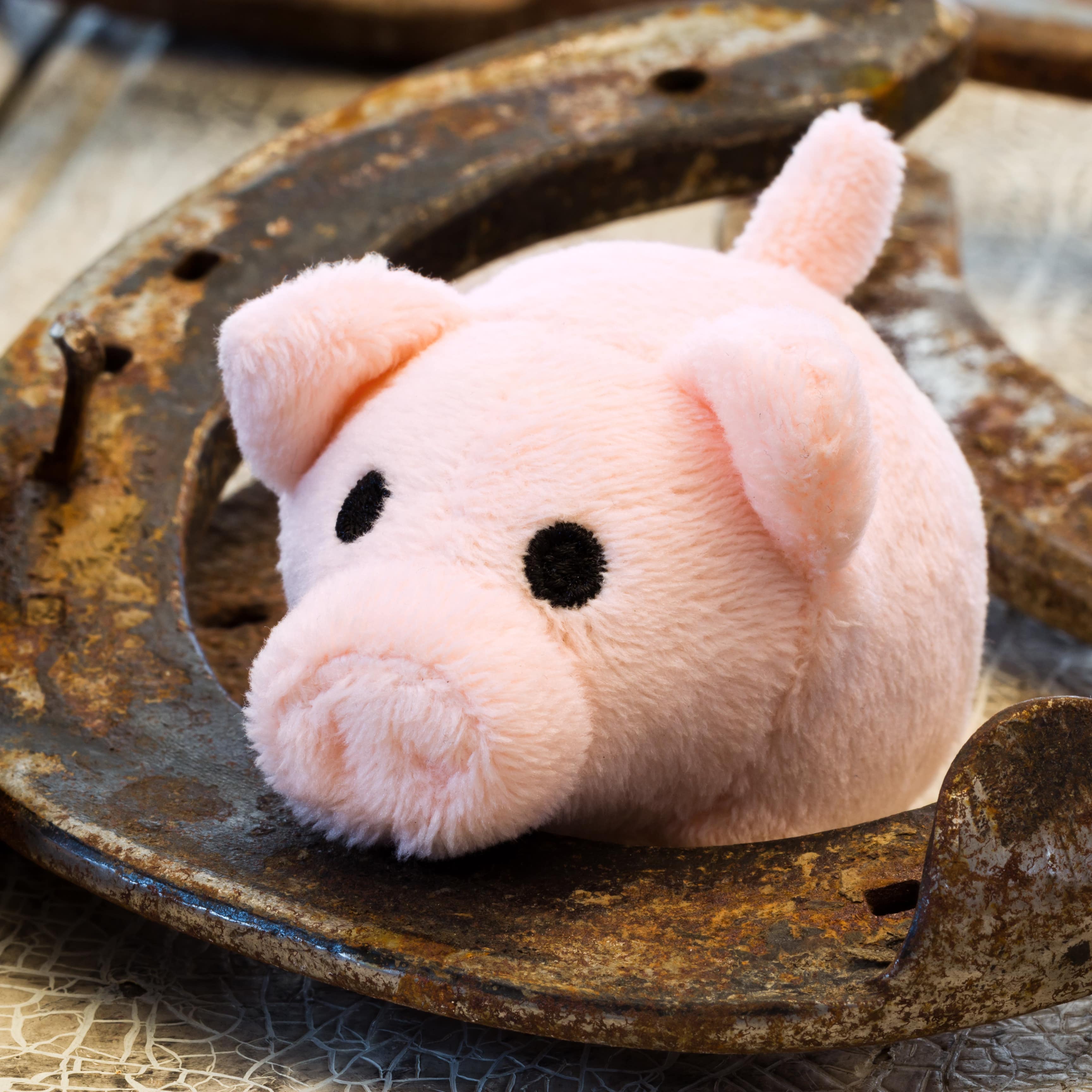 Ein rosa Stoffschweinchen in einem rostigen Hufeisen.
