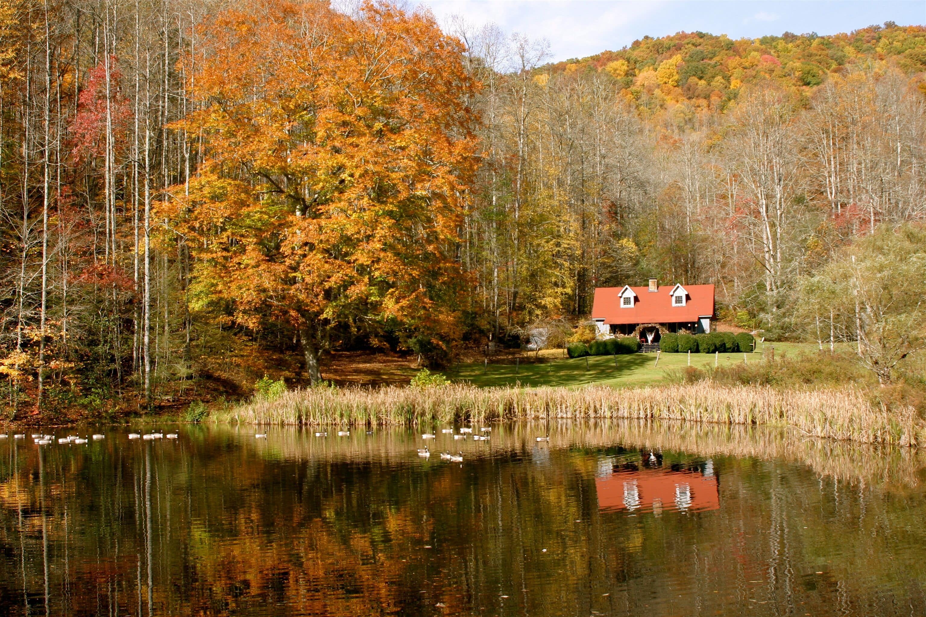 A North Carolina vacation rental surrounded by forest and water