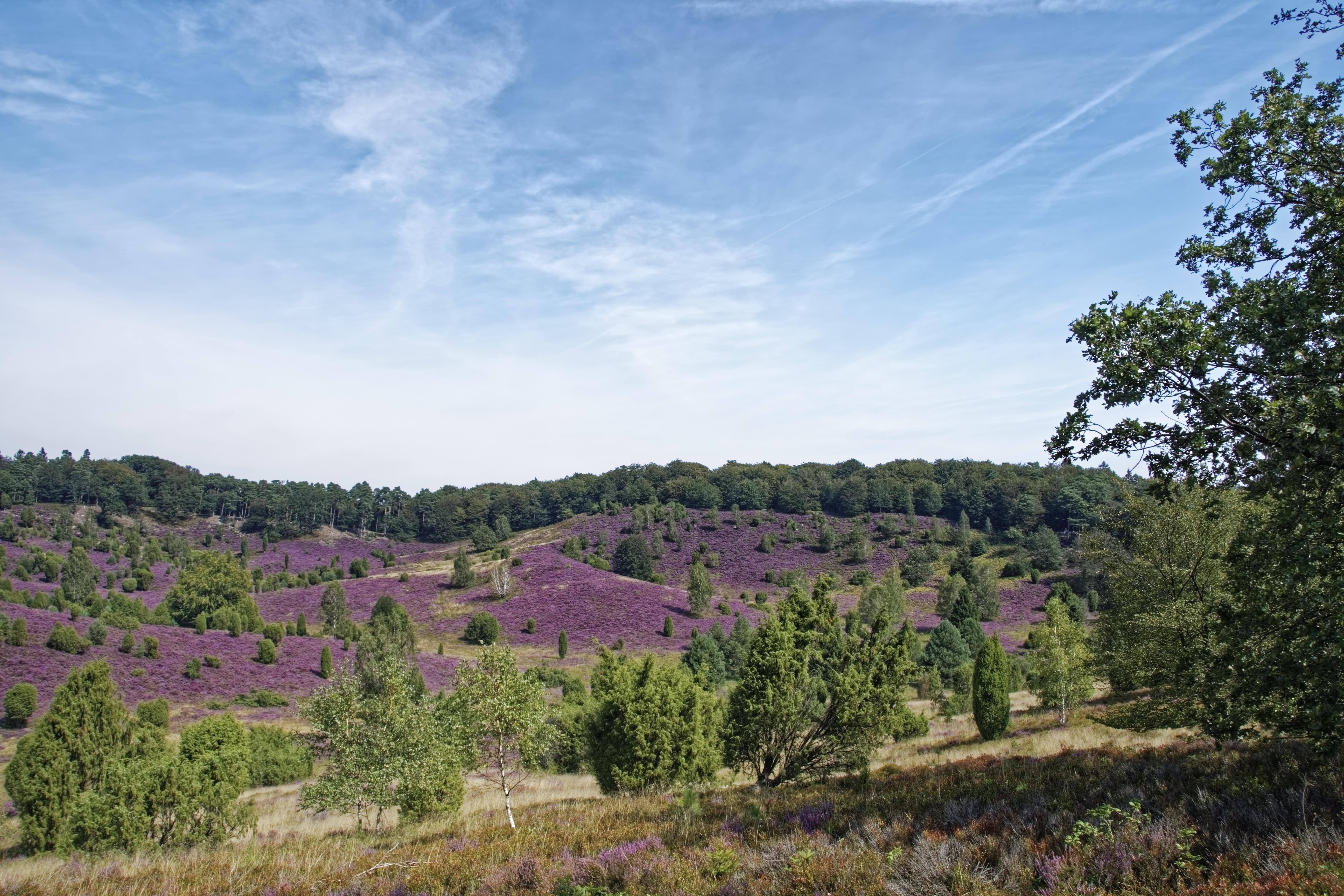 Urlaub in der Lüneburger Heide