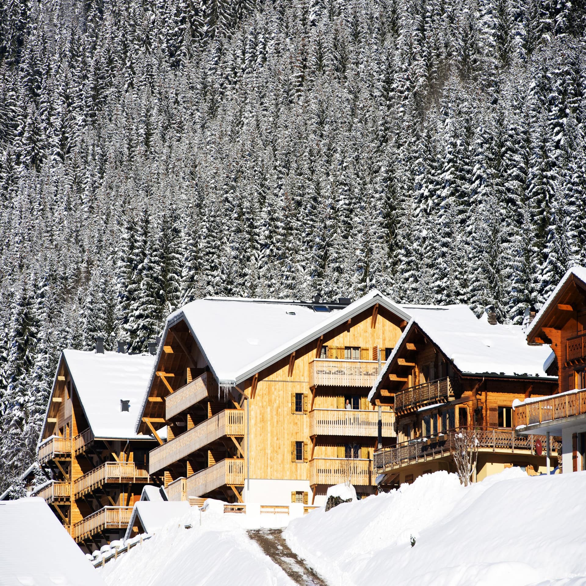 Mehrstöckige Holzhäuser in einem verschneiten Skigebiet in Frankreich. Dahinter Bäume.