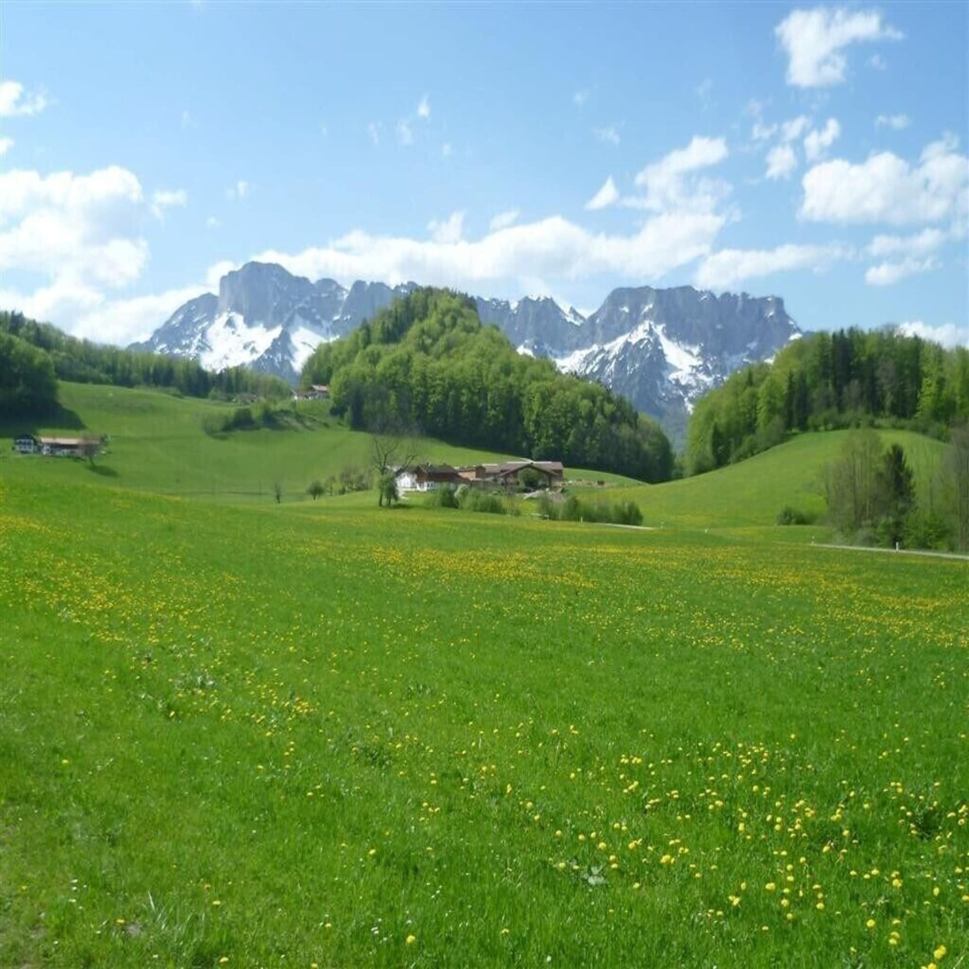 Panoramablick auf einen Bauernhof inmitten einer grünen Wiese, im Hintergrund die Alpen. 