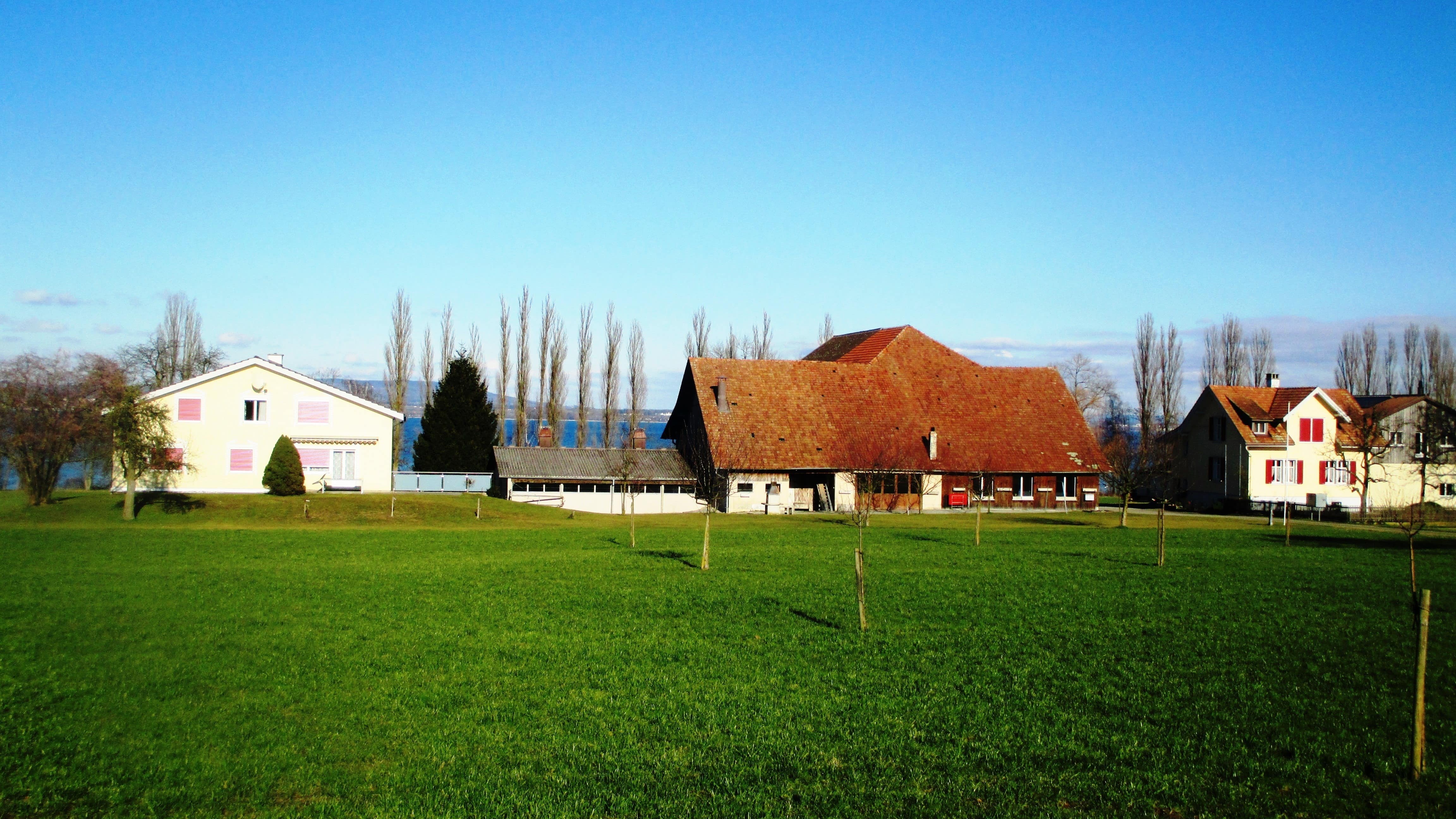 Perfekte Ferien auf dem Bauernhof am Bodensee verbringen