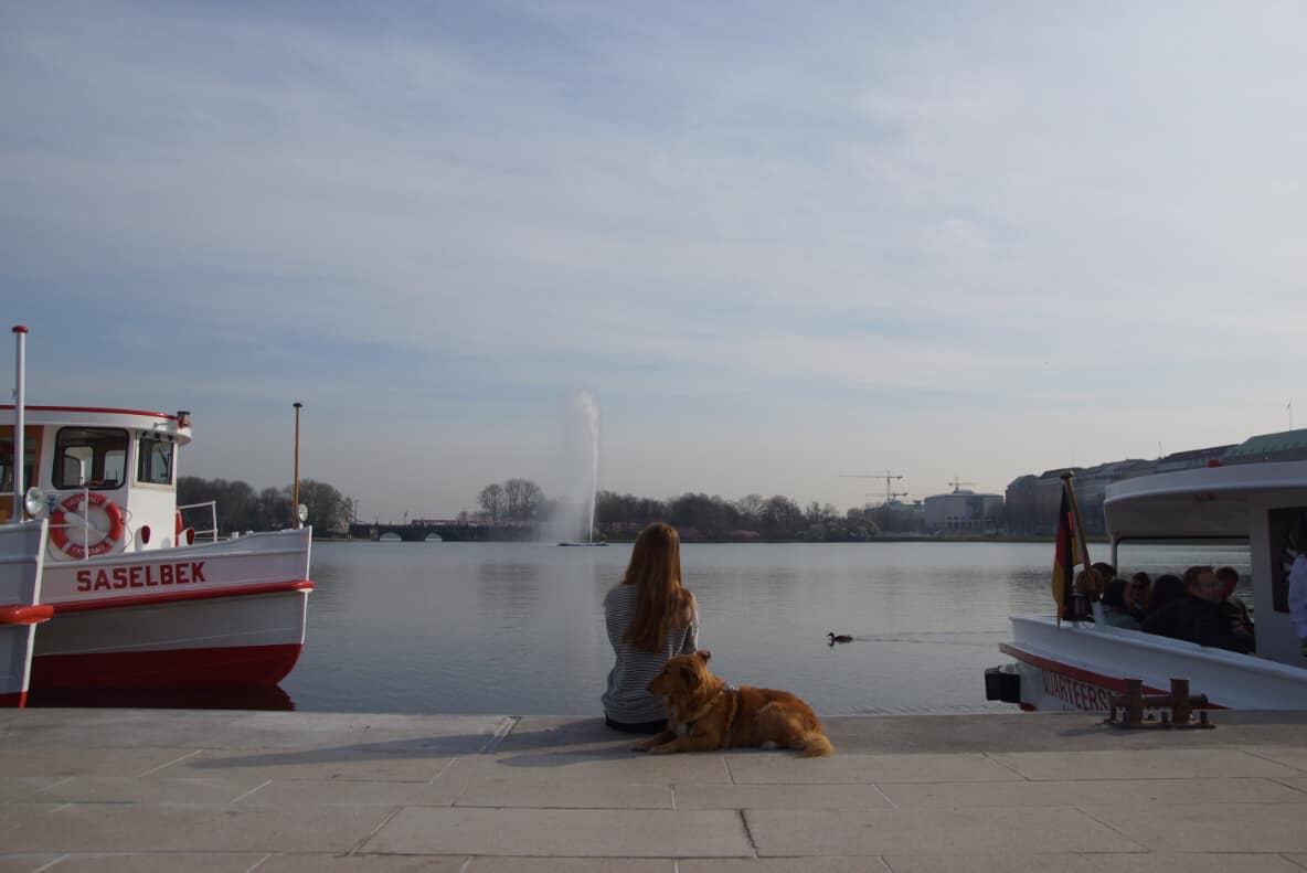 hamburg hund - Sightseeing am Morgen 1