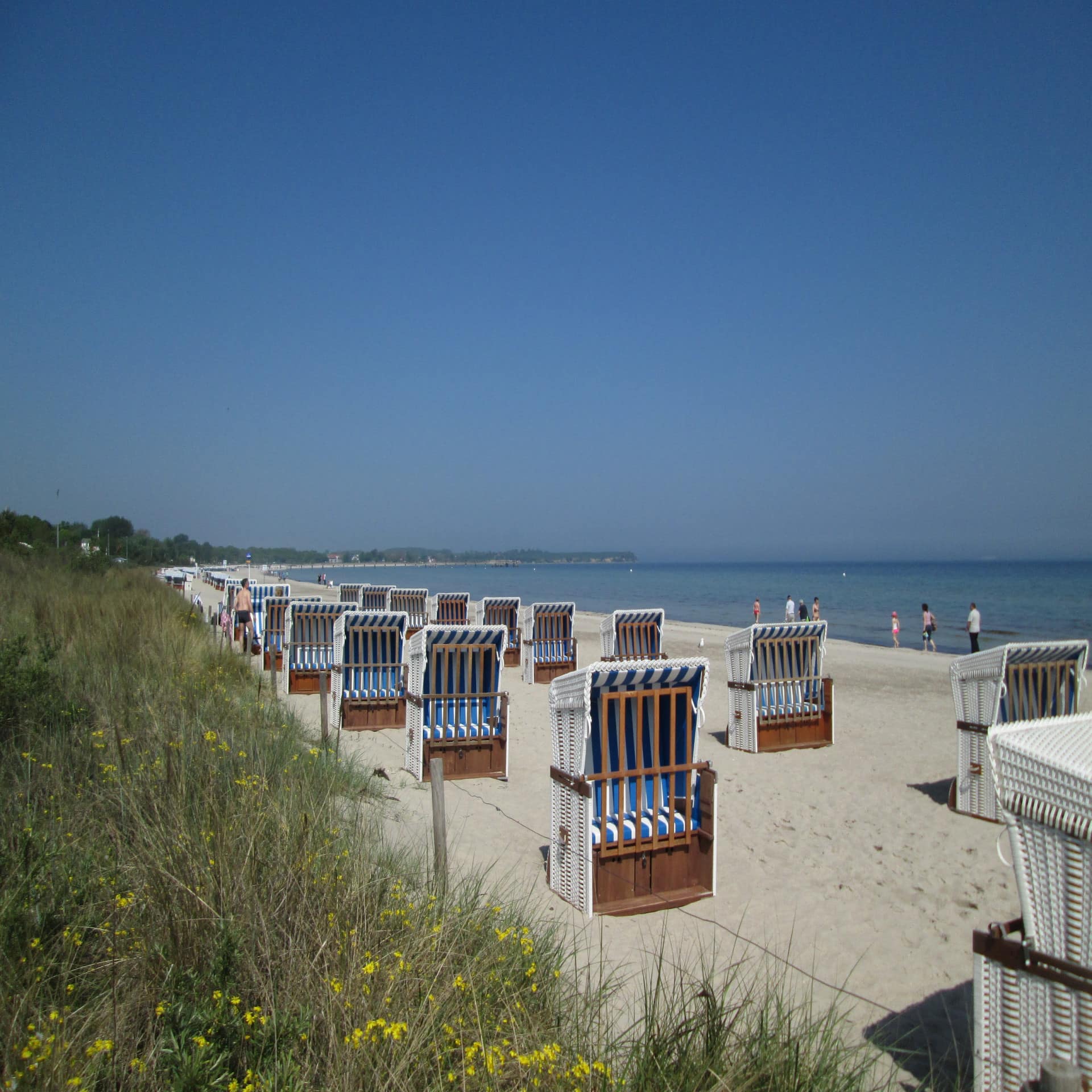 Blau-weiß gestreifte Strandkörbe, eine Düne und Spaziergänger am Strand.