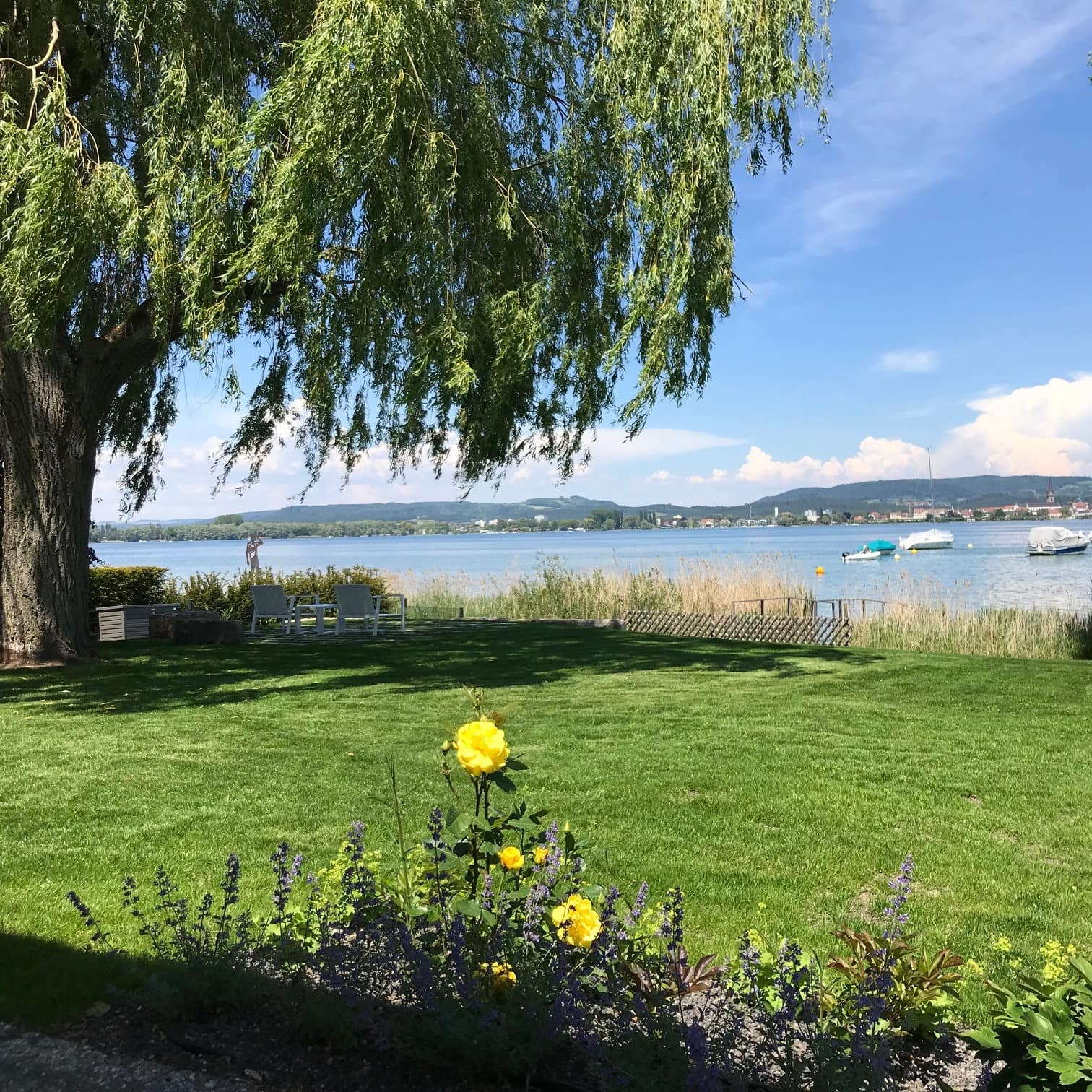 Blick von der Terrasse auf den Garten mit direktem Zugang zum Bodensee