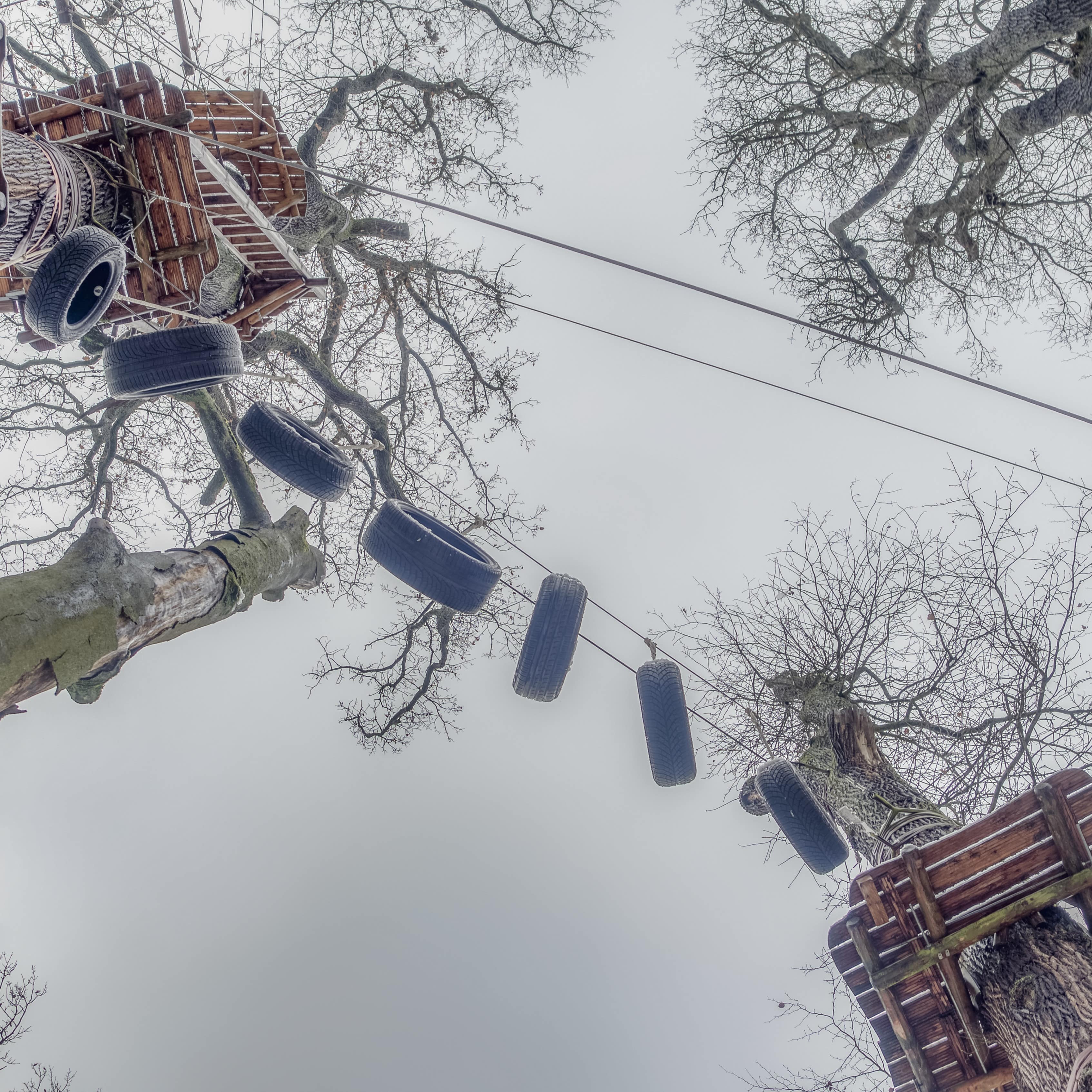 Blick von unten auf eine Station im Kletterwald Neroberg.