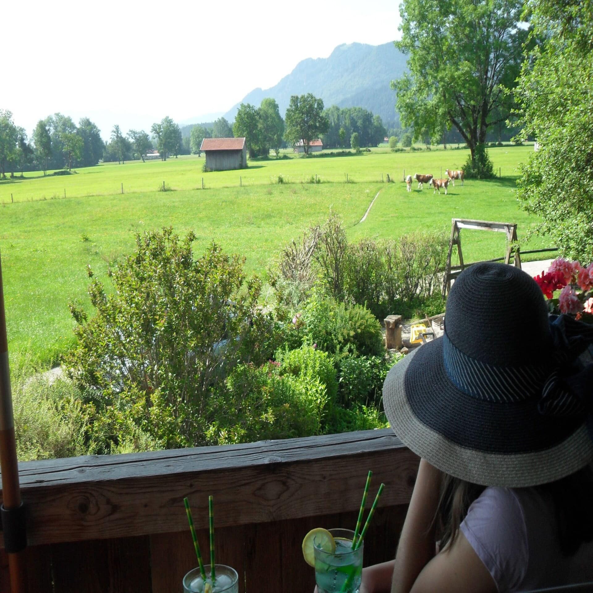 Rückenansicht: Ein Mädchen mit Sonnenhut sitzt mit einem Glas Limonade auf einer Veranda und blickt auf eine Kuhweide.