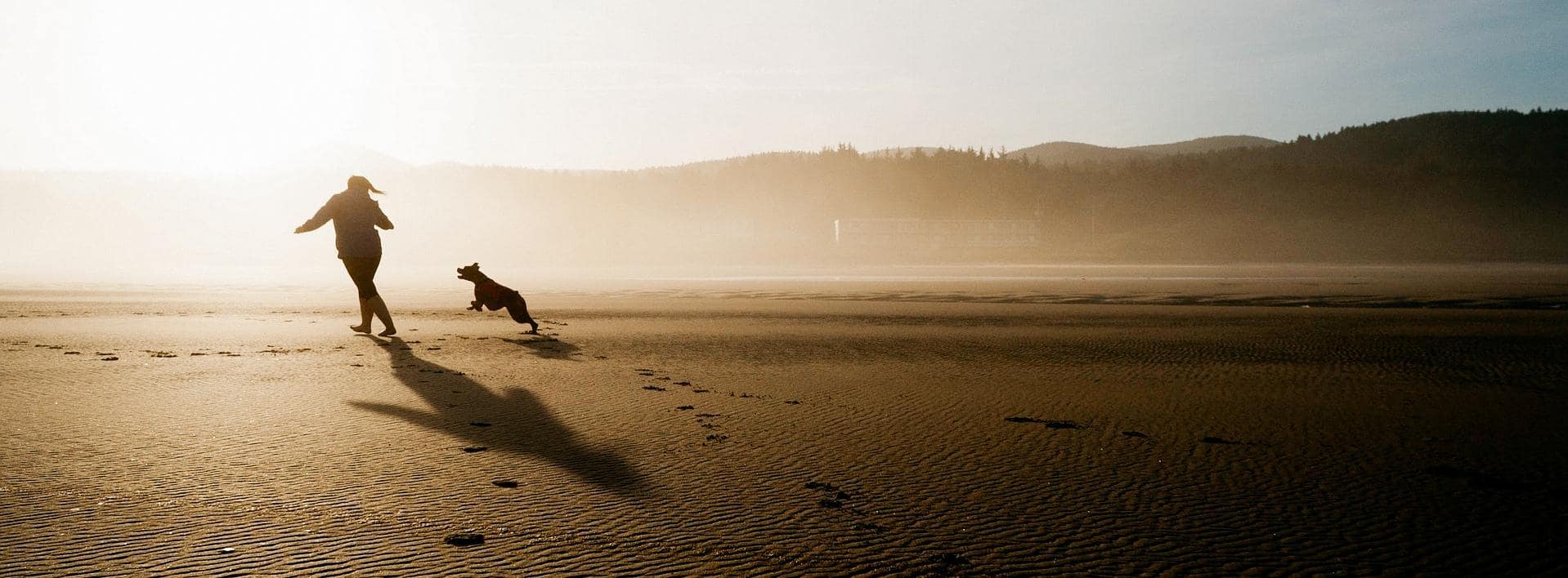 Beliebte Reiseziele mit Hund