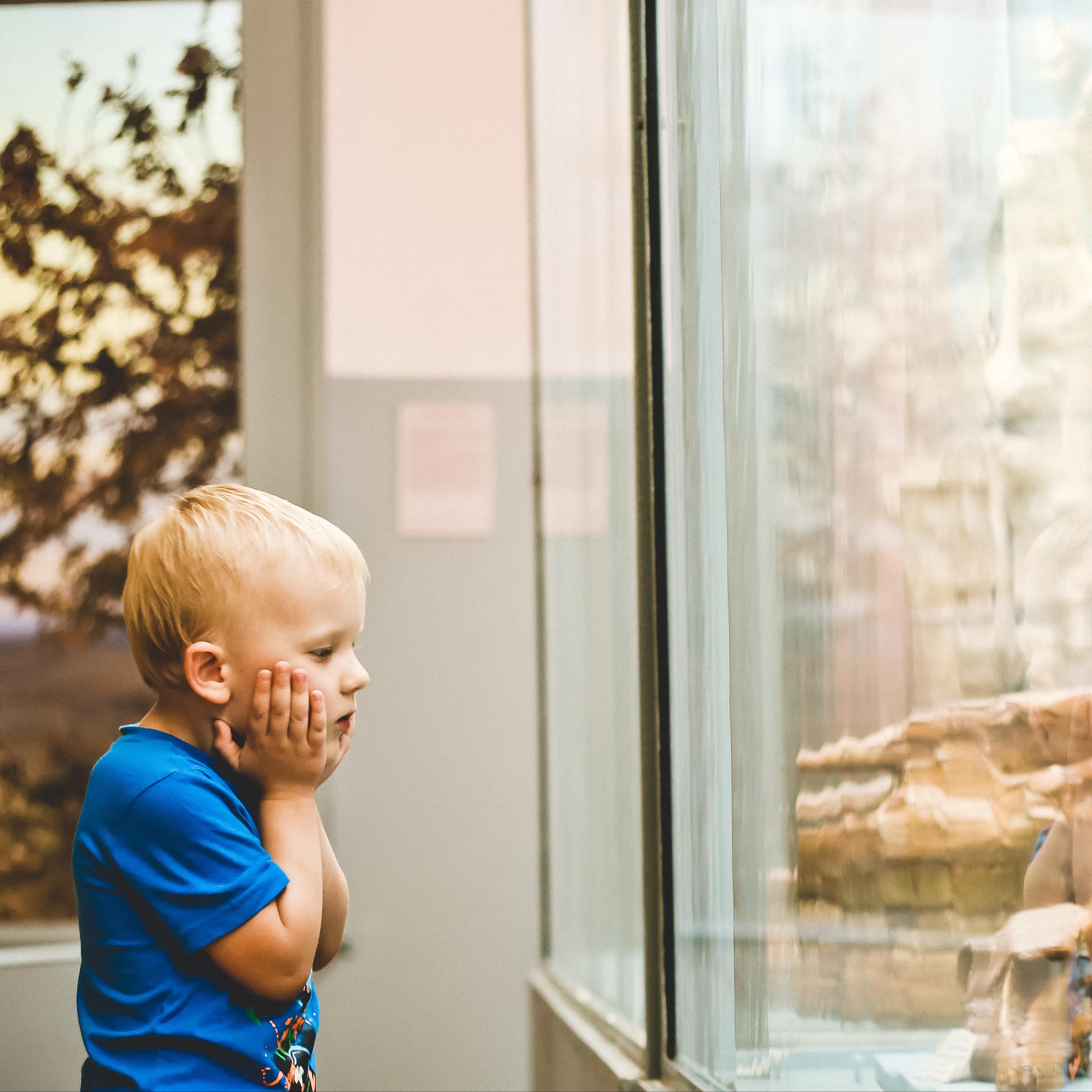 Blonder kleiner Junge in blauem T-Shirt mit Händen im Gesicht steht vor einer Museumsvitrine und beschaut Knochen.