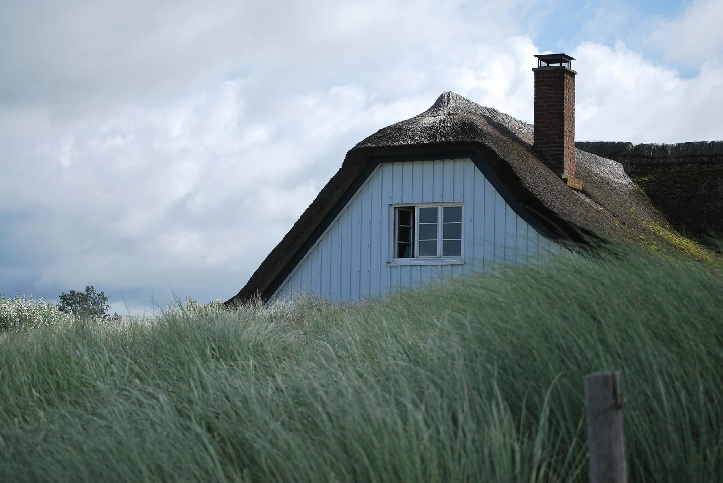 Ihre Ferienwohnung auf dem Darß – unberührte Natur