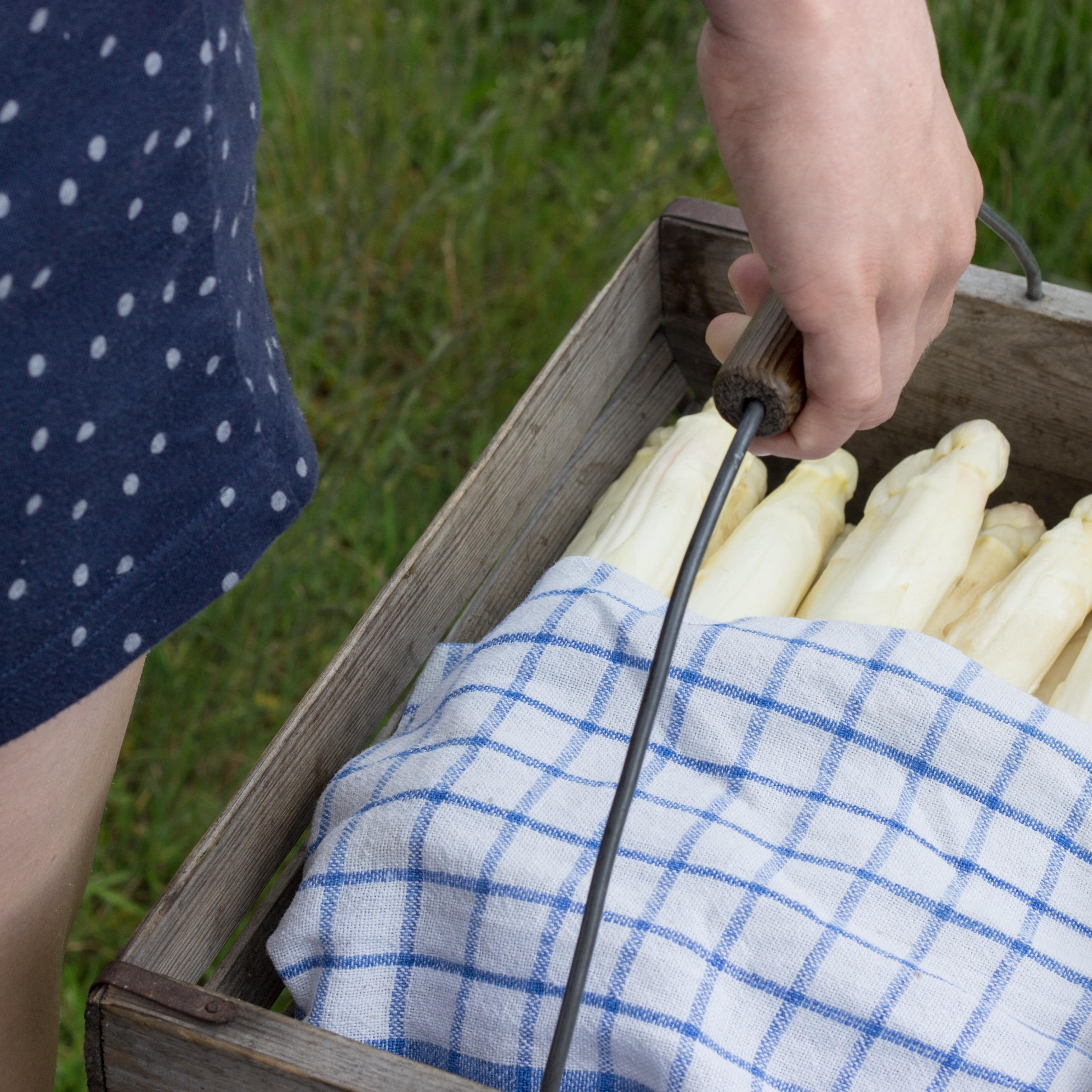 Nahaufnahme: Ein Kind trägt eine Holzkiste mit weißem Spargel, der in ein Tuch eingeschlagen ist.