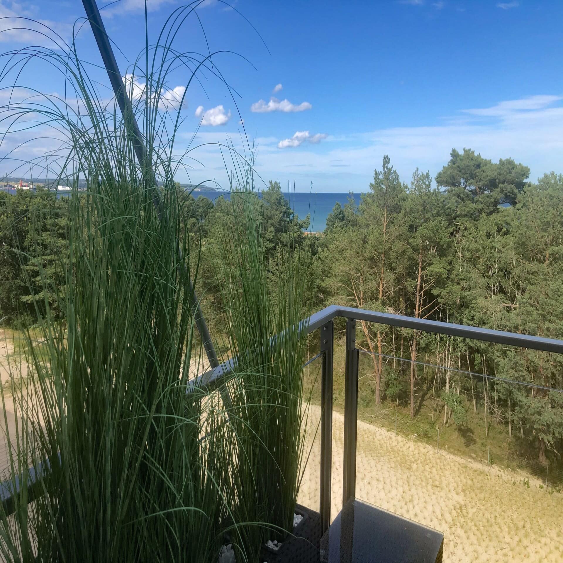 Blick von einem Balkon mit Grünpflanzen auf einen Küstenwald, dahinter das Meer. 