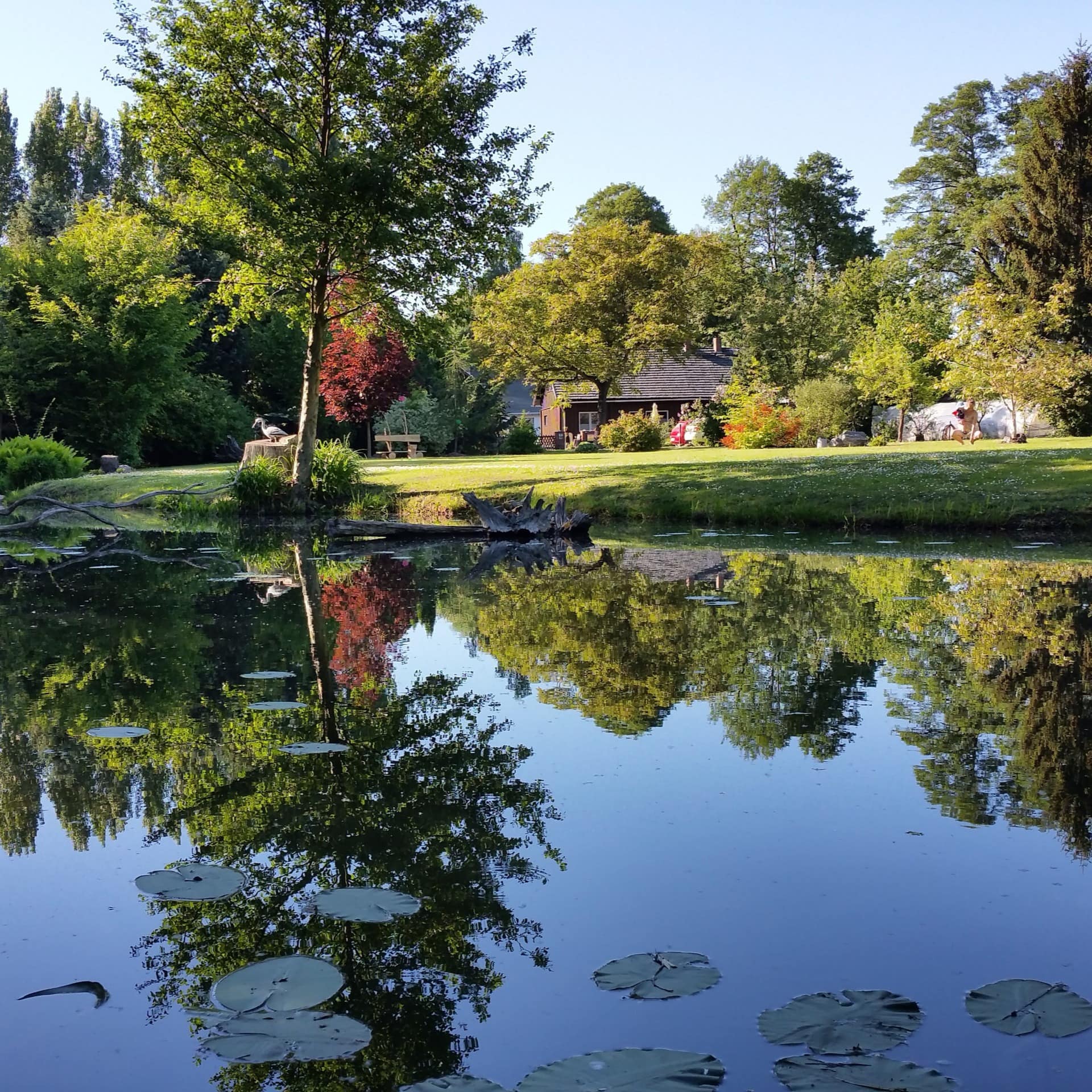 Blick vom Gartenteich auf einen großen Garten und ein Haus mit Ferienwohnung in Lübbenau im Spreewald