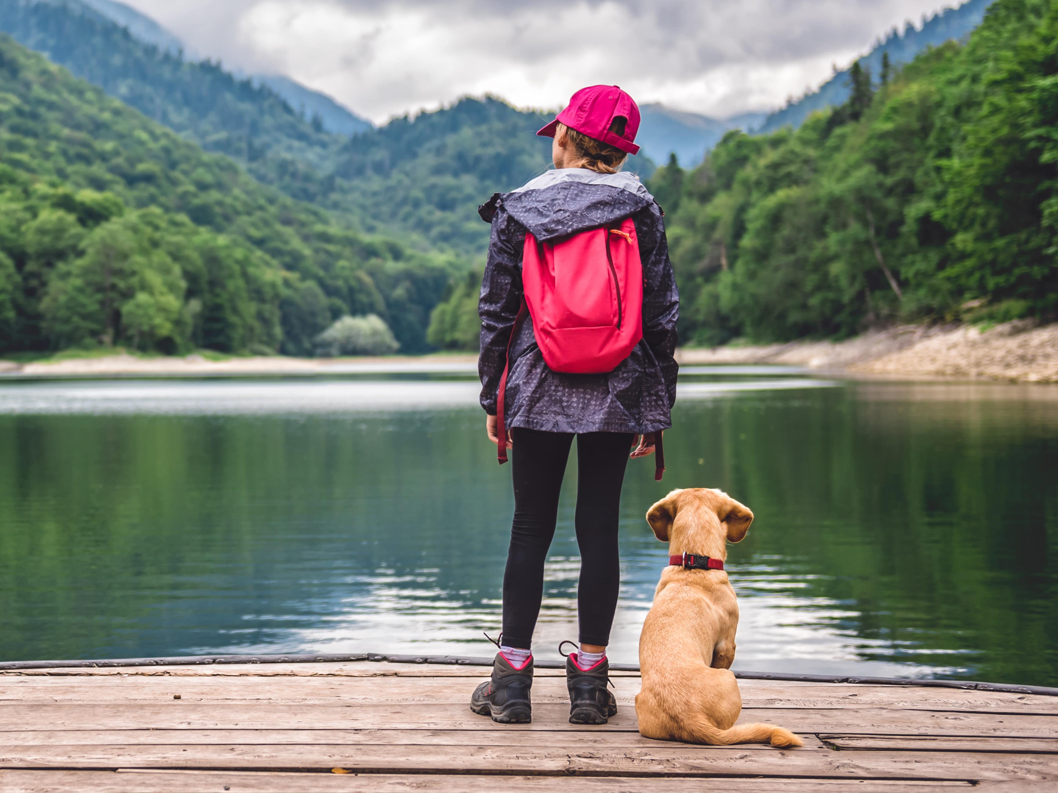 til eksil Er kan ikke se Einen Kurzurlaub zusammen mit Ihrem Hund erleben