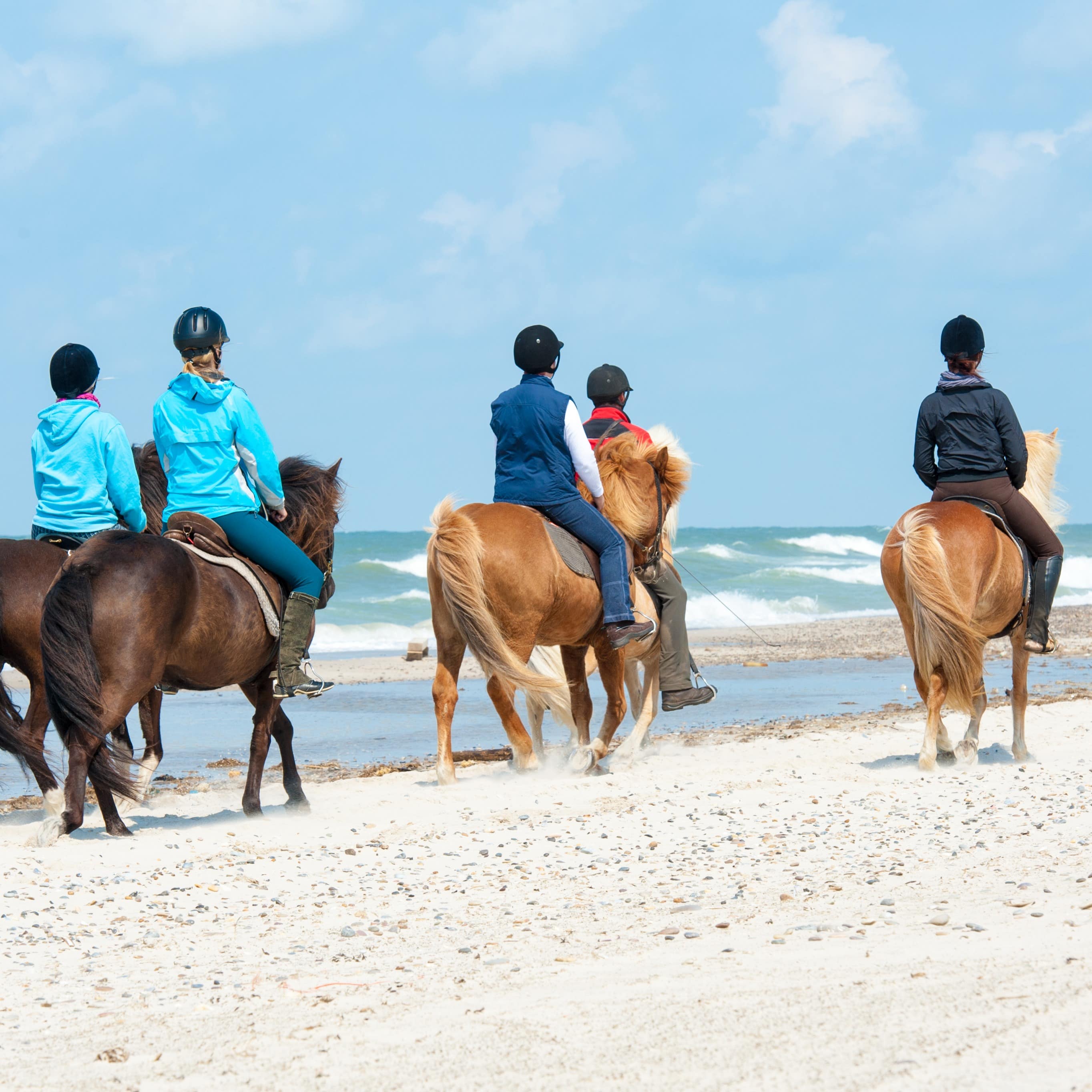 Rückenansicht: Größere Kinder reiten auf Ponys am Strand entlang.