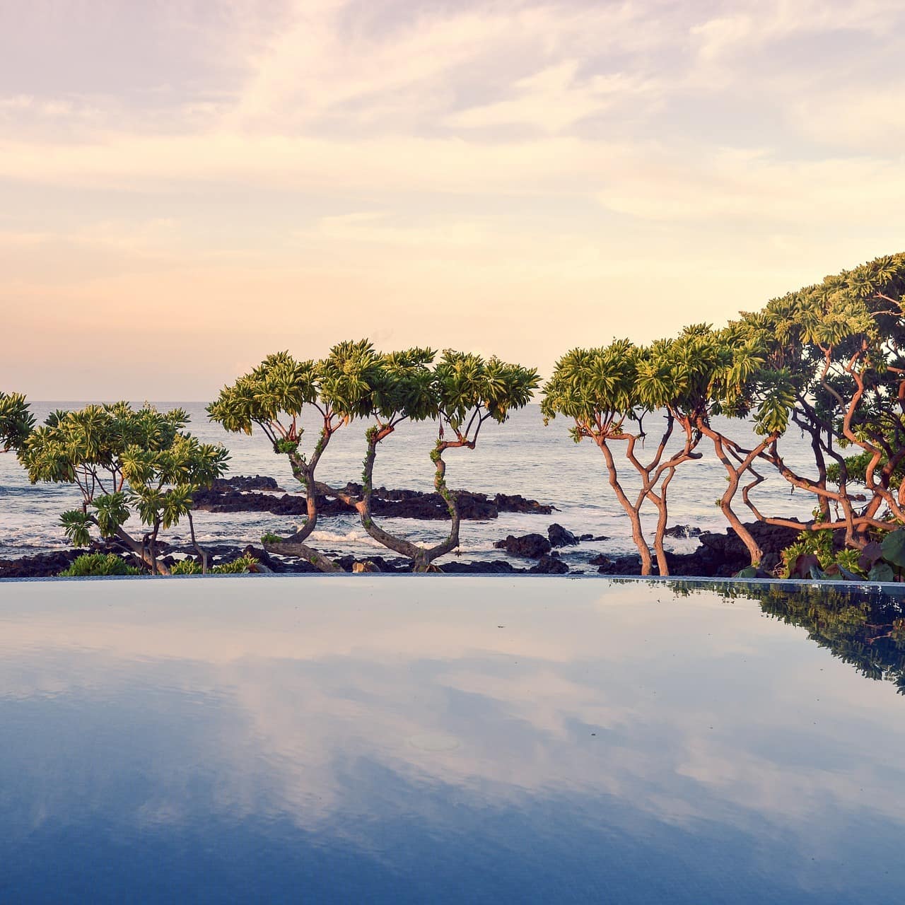 Blick von einem Infinity-Pool direkt am Meer durch Bäume auf das Wasser