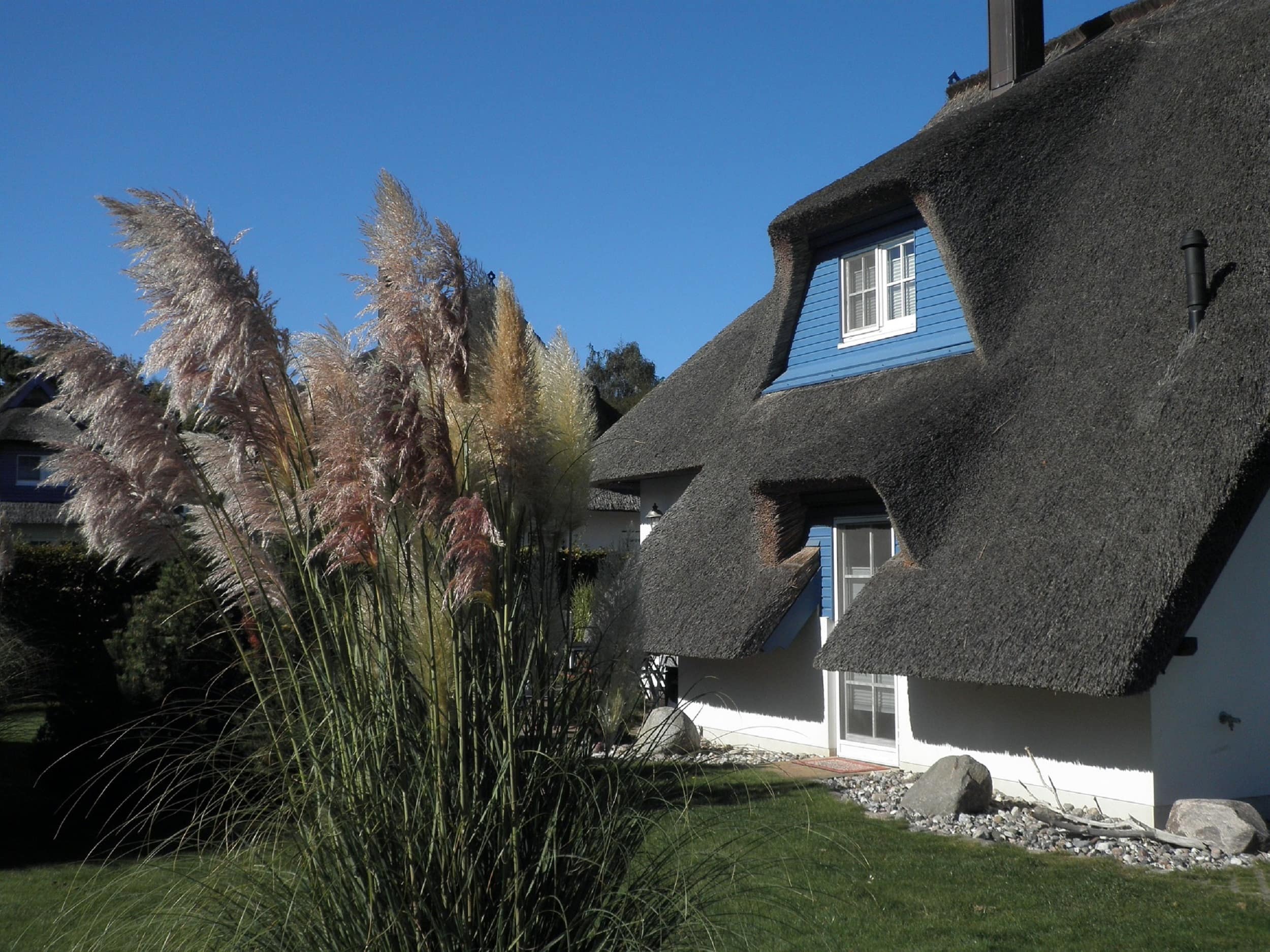Eine Ferienwohnung an der Ostsee – Darß, Rerik und mehr