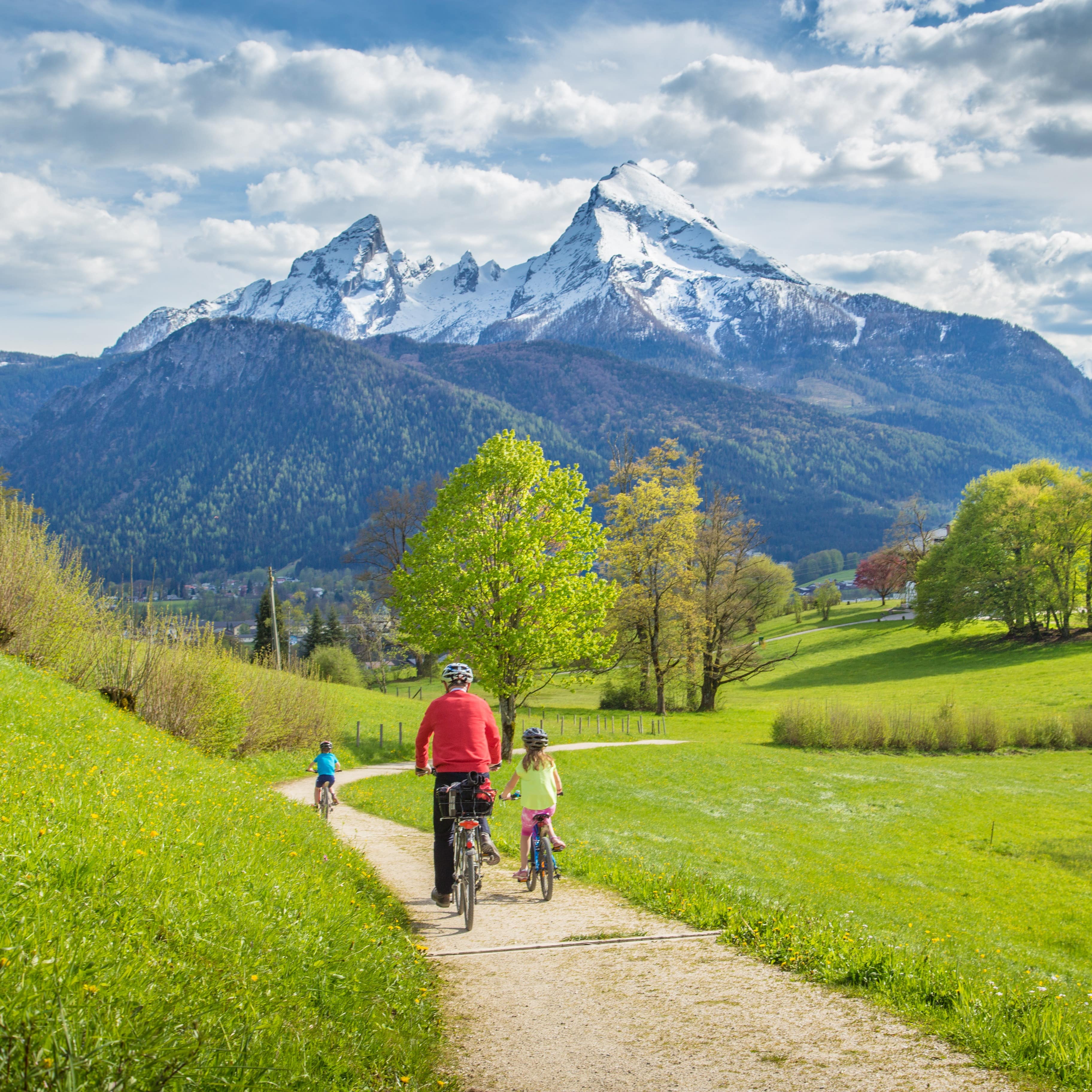 Rückenansicht: Vater und 2 Kinder fahren mit Fahrrädern einen Weg durch die grüne Landschaft entlang.