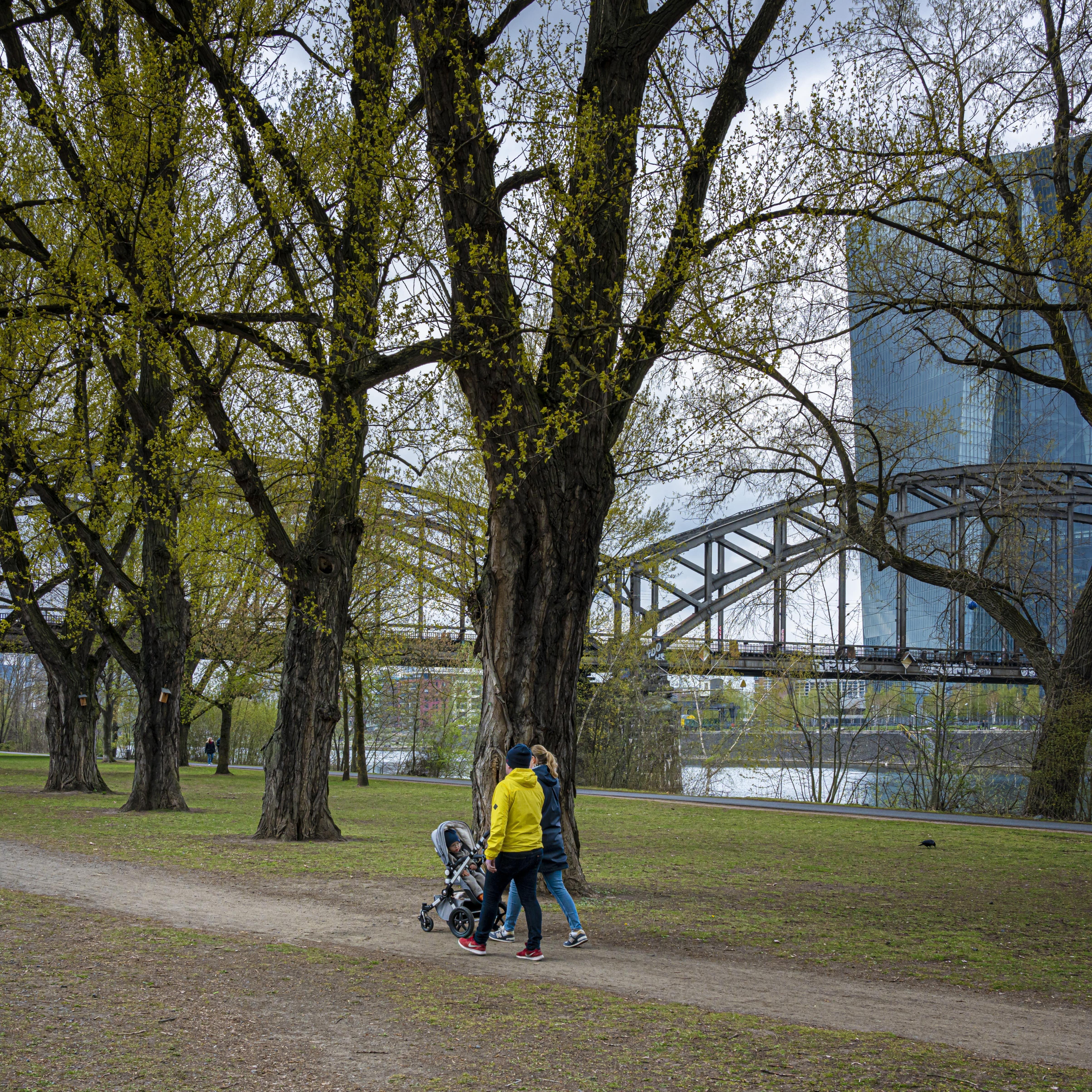 Spaziergang am Mainufer in Frankfurt. Eltern schieben einen Kinderwagen.