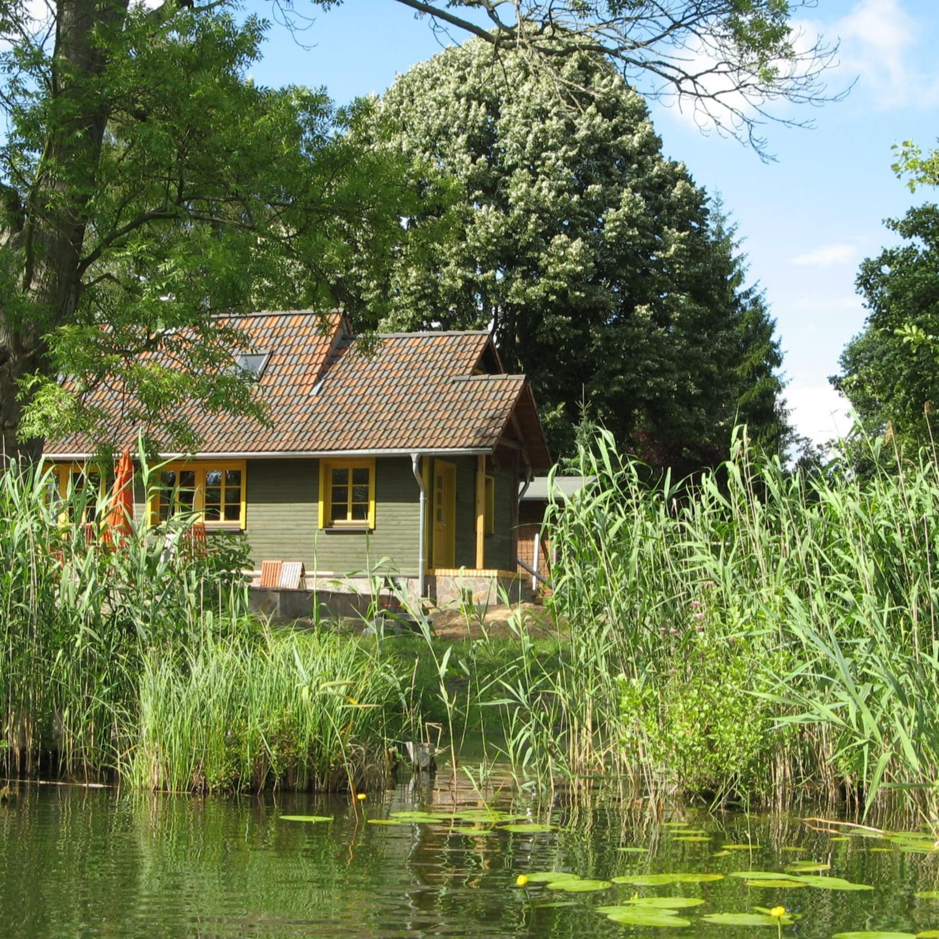 Bungalow an der Müritz direkt am See umgeben von Schilf und Bäumen