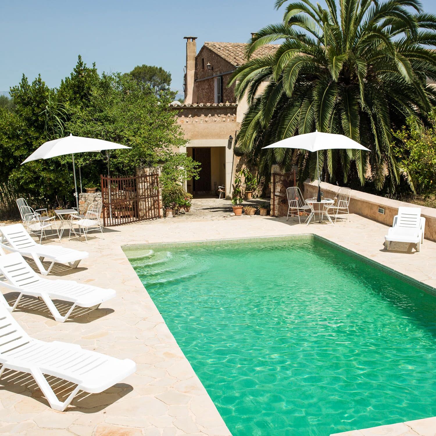 Gemütliches Ferienhaus auf Mallorca umgeben von Bäumen und Palmen mit großem Pool
