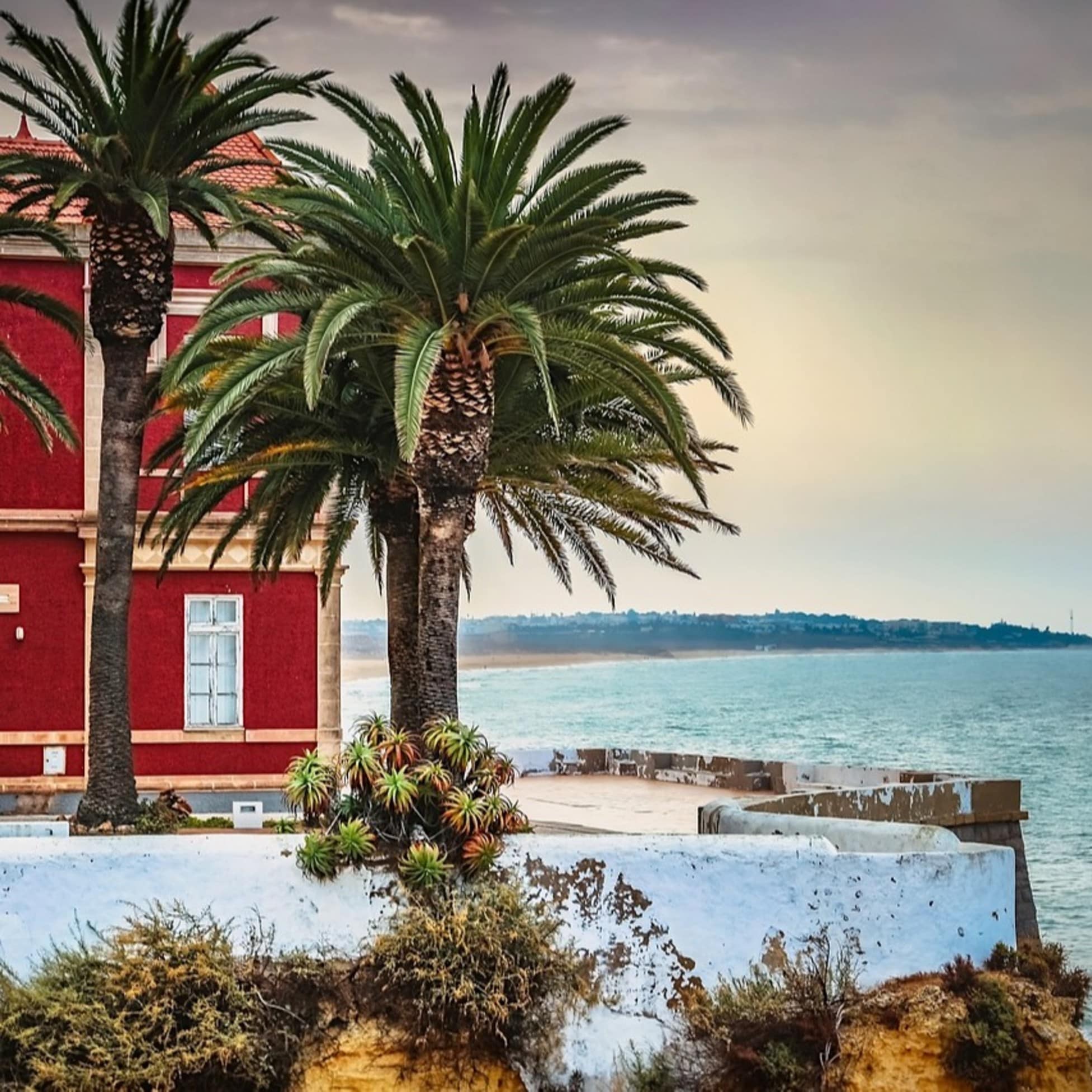 Rote Luxusvilla am Meer mit Palmen
